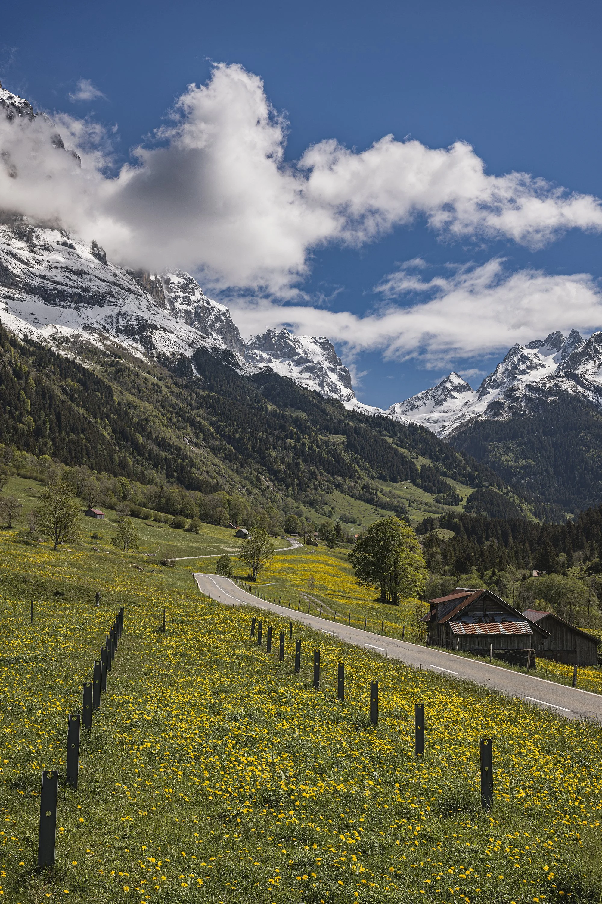 A RAMBLE THROUGH SWITZERLAND