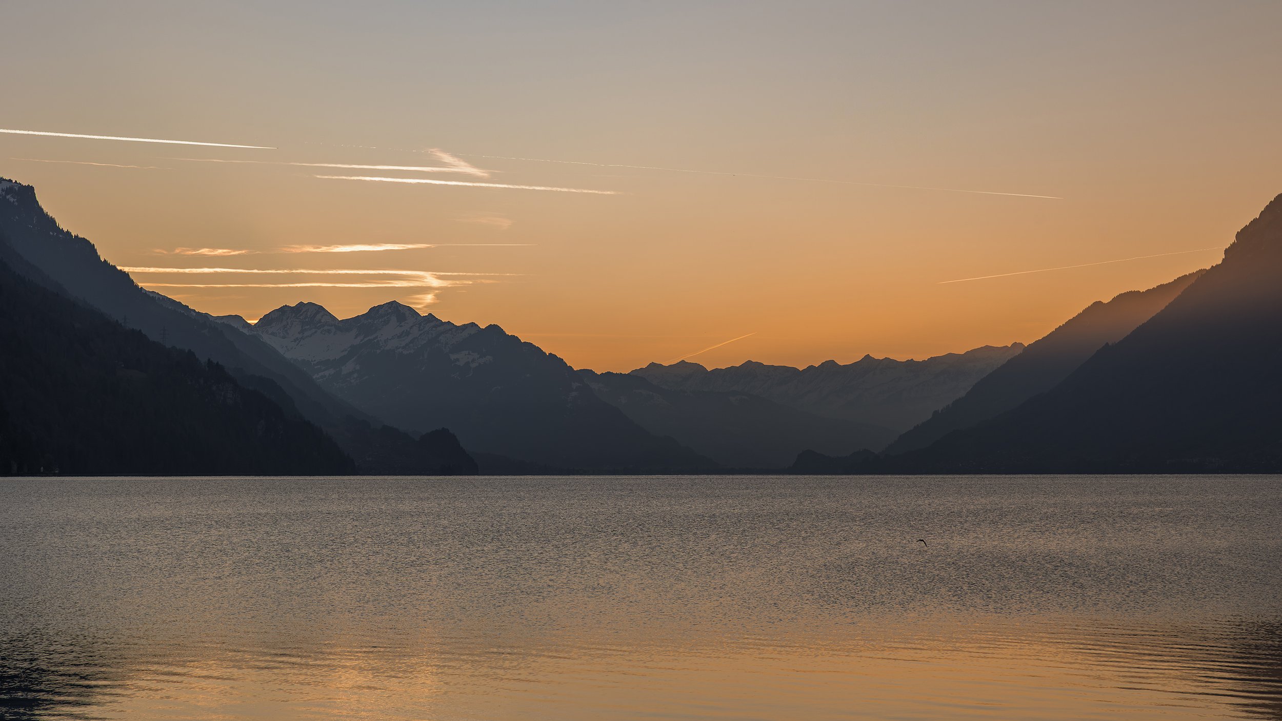 BrienzSonnenuntergang-9360_web.jpg