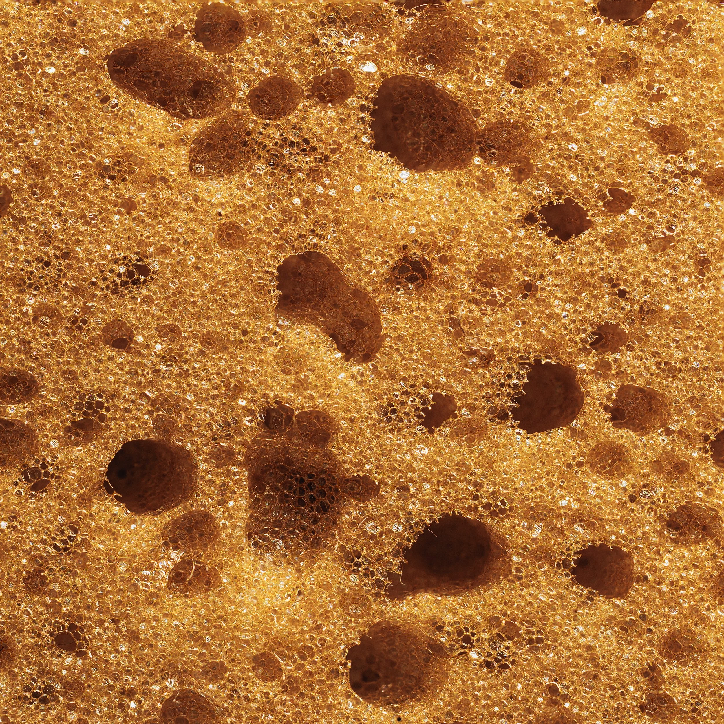 sponge