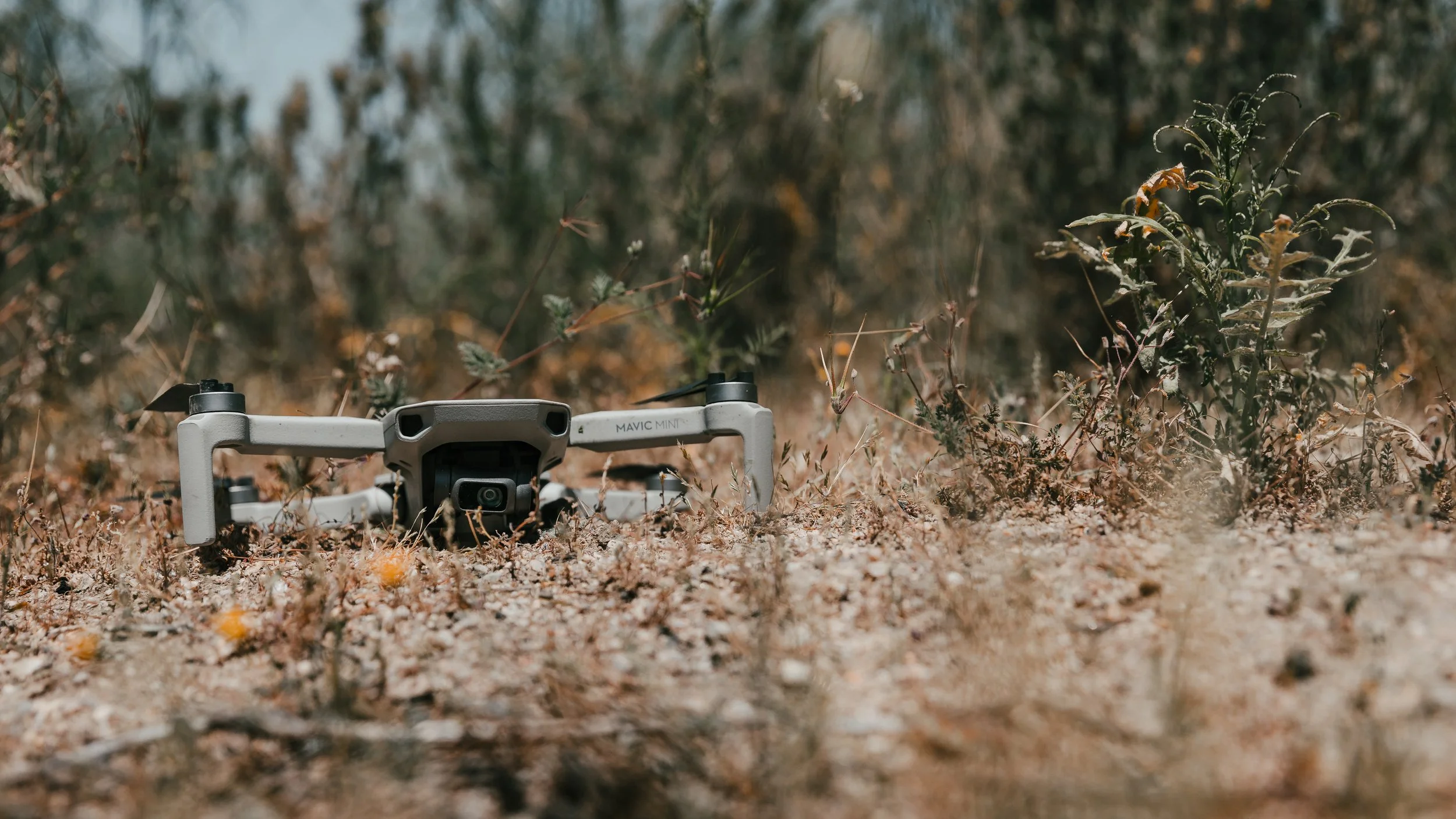 MavicMini-8886.jpg