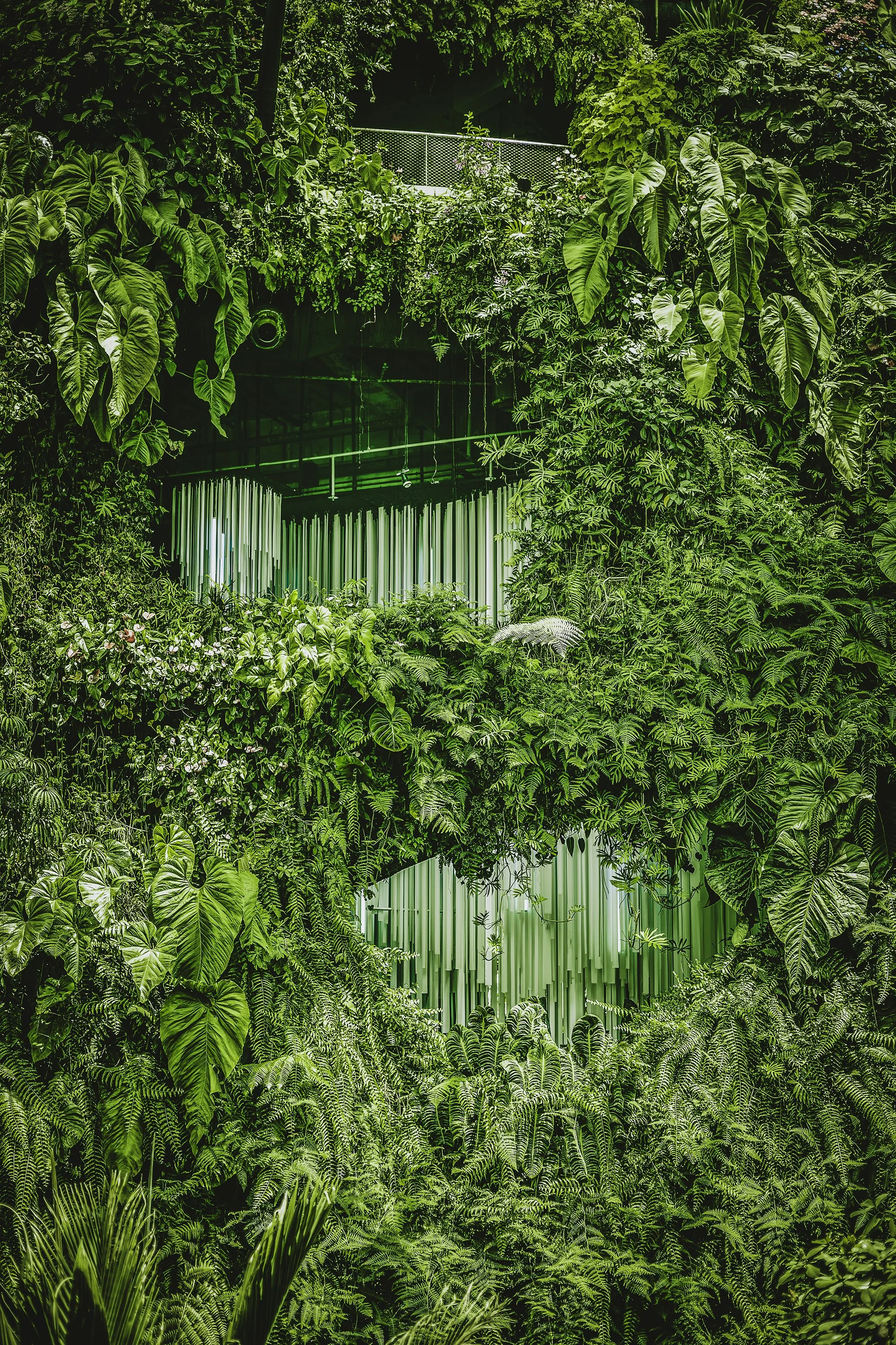 SingaporeGarden-6020_web.jpg
