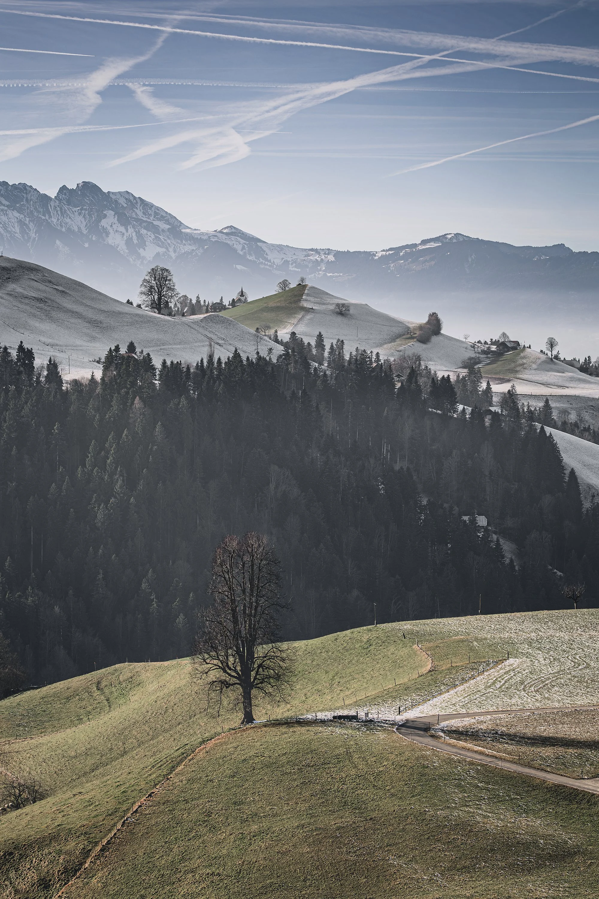 Emmental_9406_web.jpg