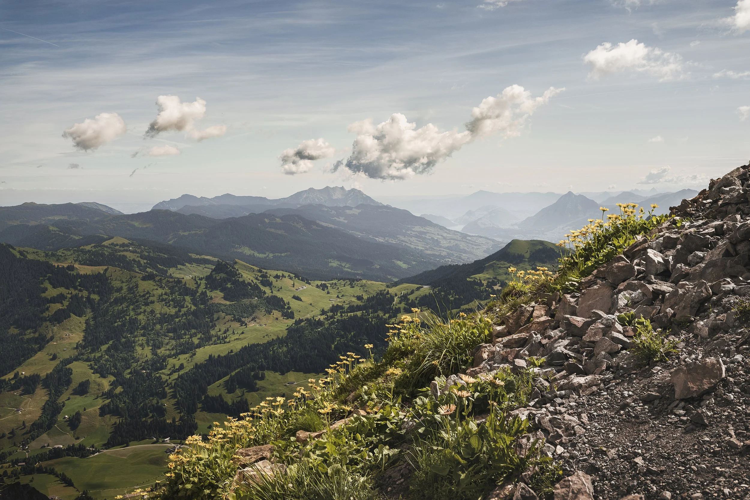 BrienzerRothorn-1053_web.jpg