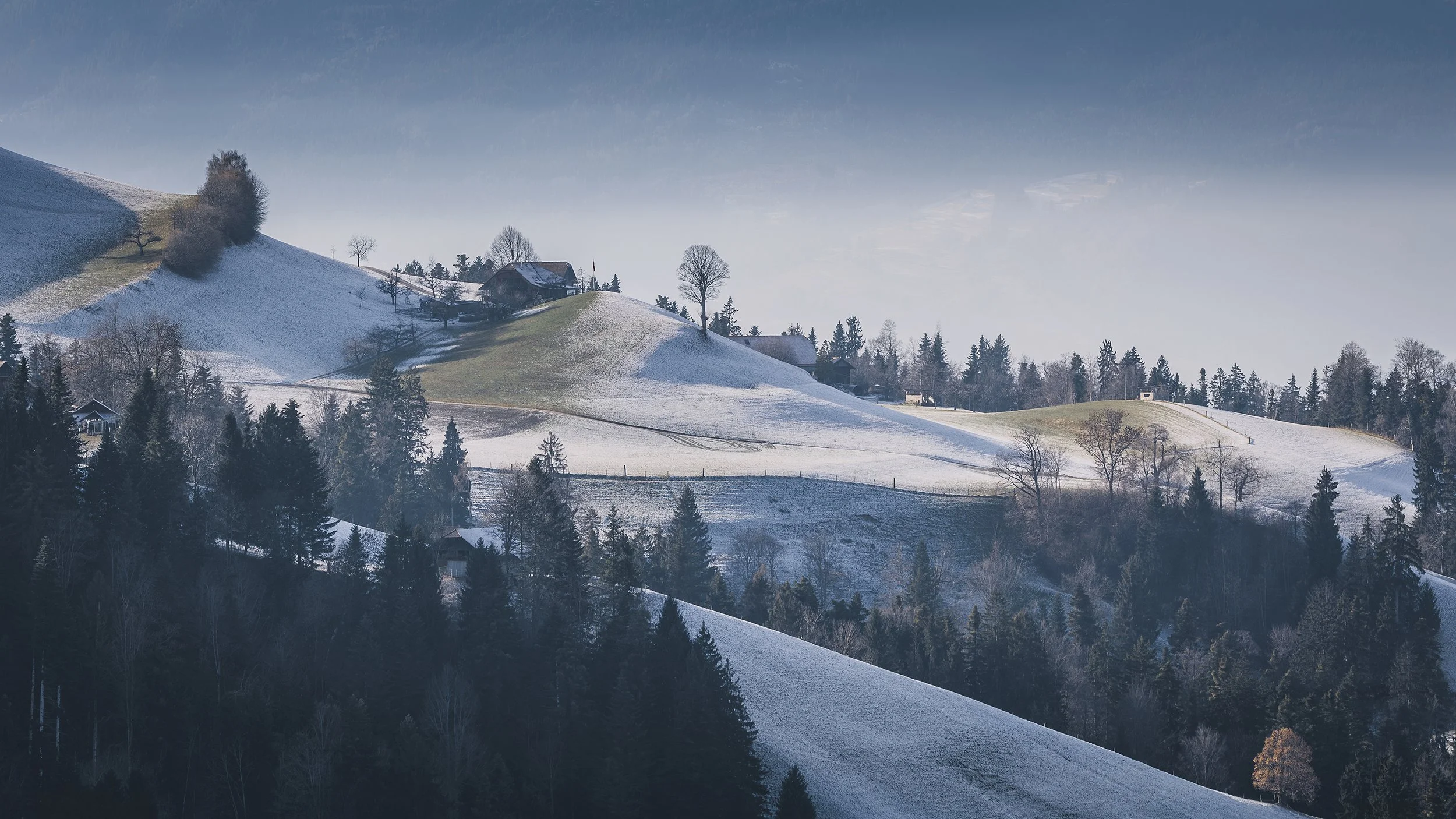 Emmental-9416_web.jpg