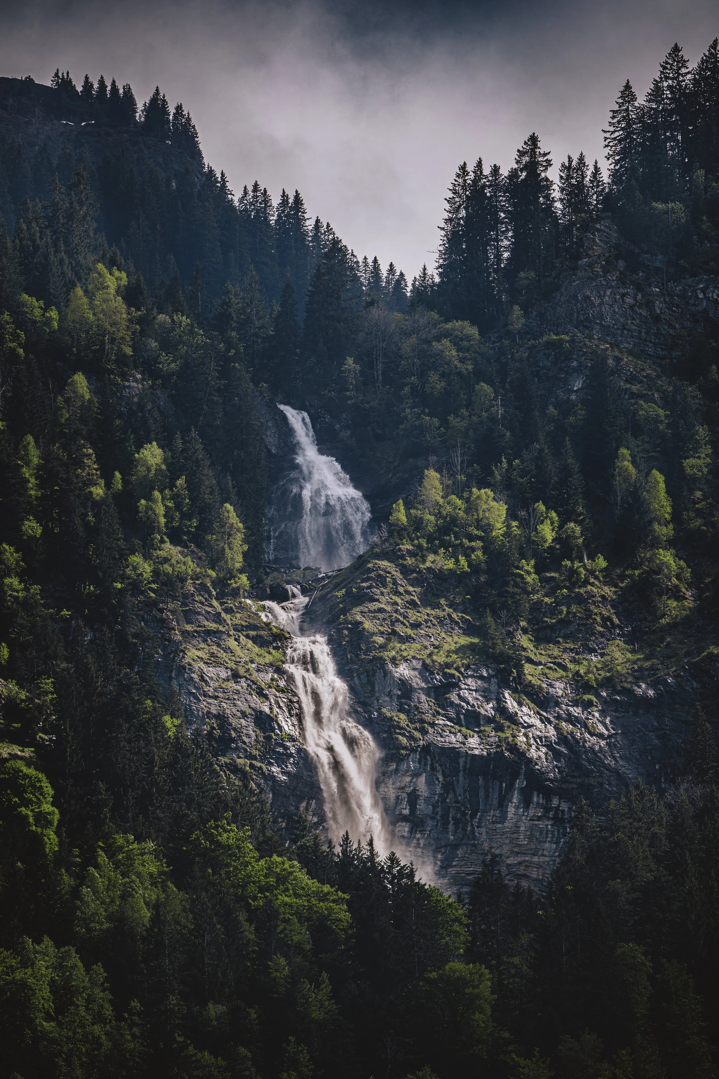 SWISS FOUR SEASONS