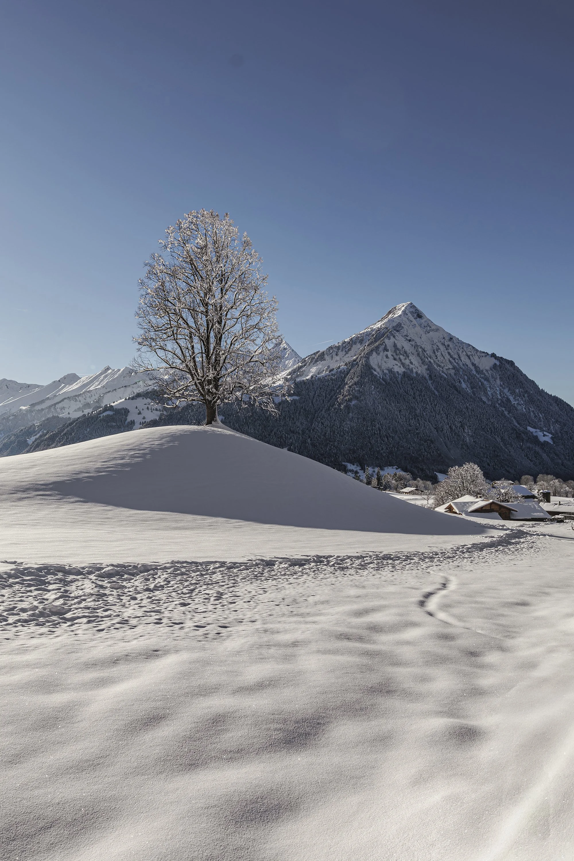 Aeschiried, Berner Oberland