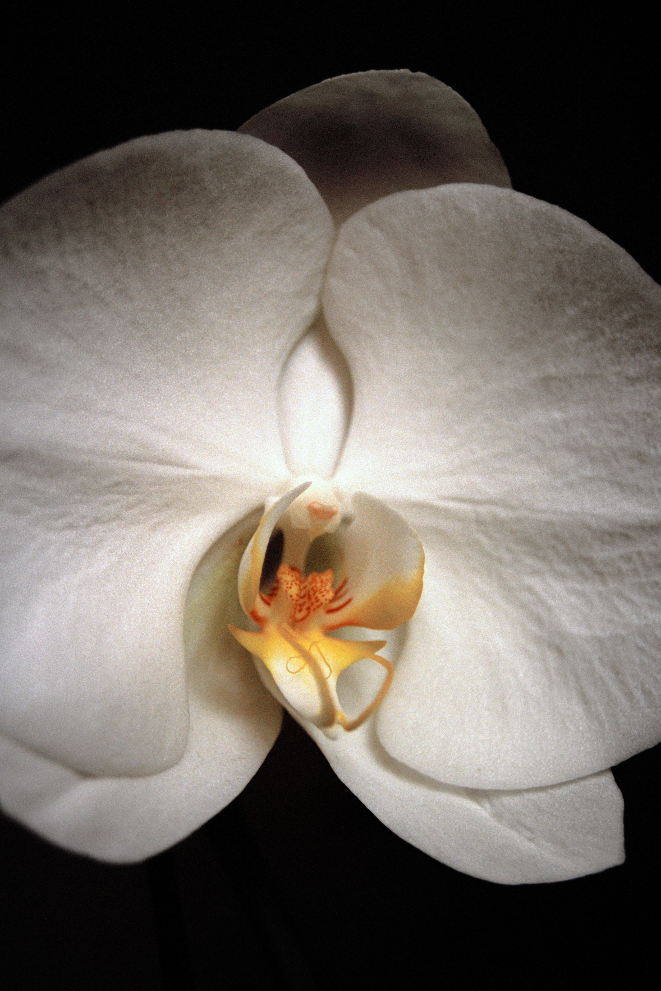 Intimité