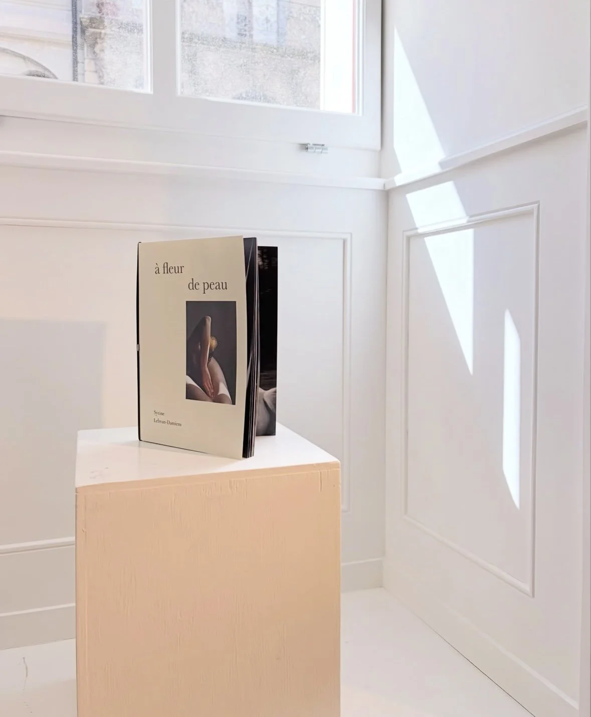 A Fleur de Peau - Book