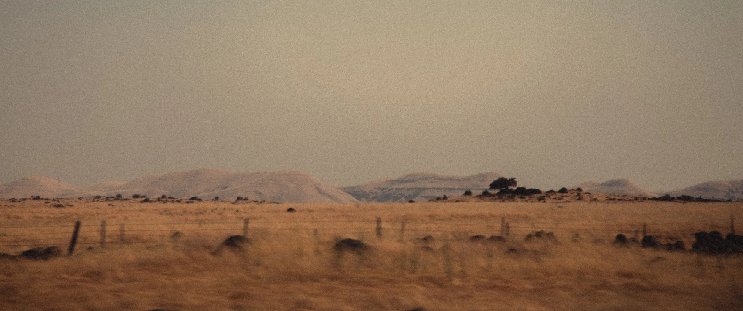 Een groot weids landschap met heuvels en geel gras. A vast, open landscape of rolling hills and grasslands under a hazy sky with a few trees in the distance and a barbed wire fence in the foreground.