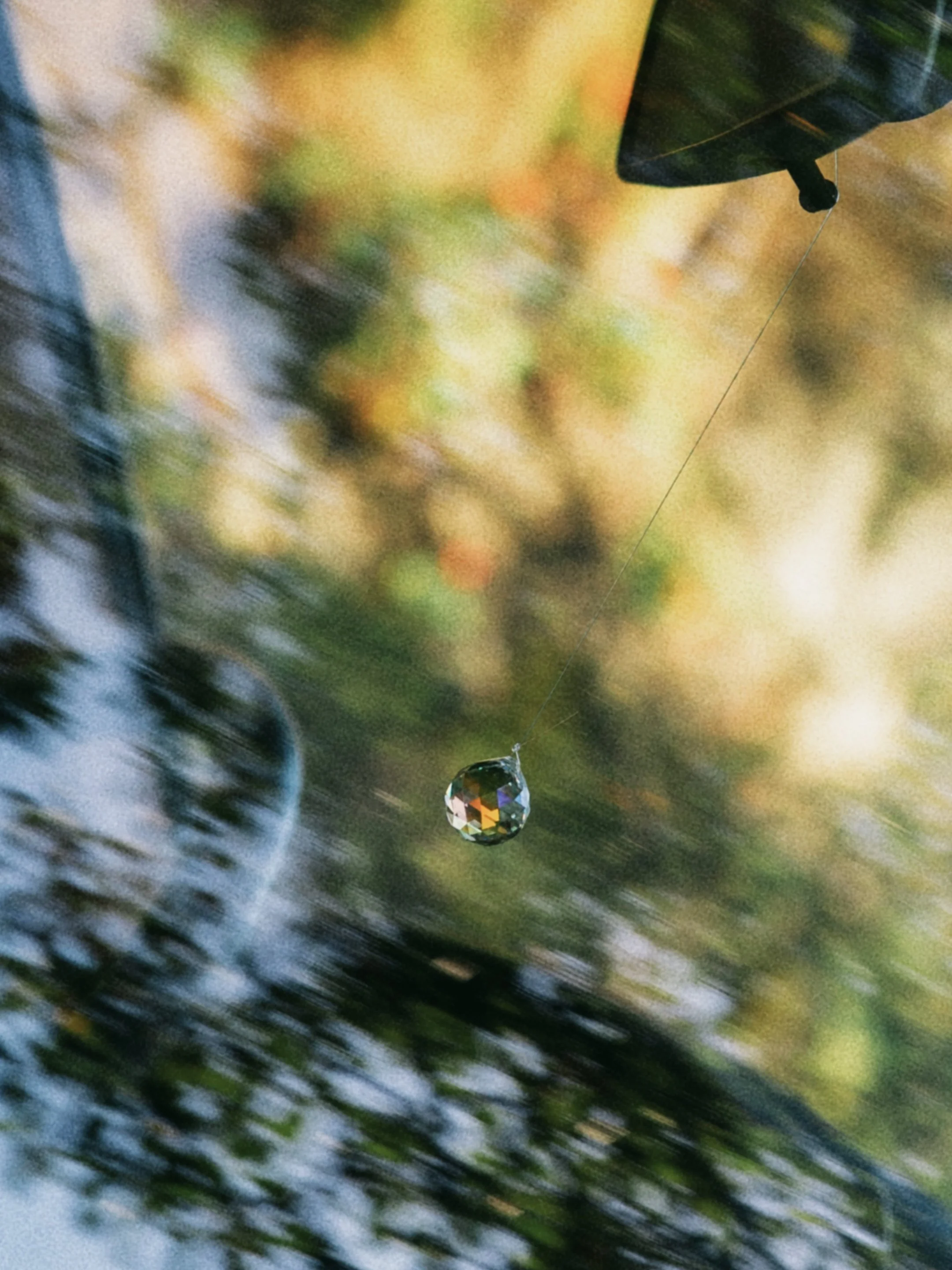 DSC_6456.jpg