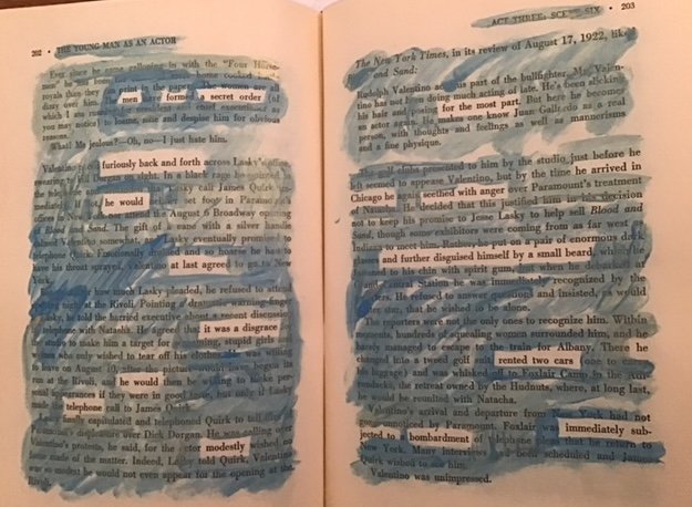Two pages from a paint-on-the-page book erasure.