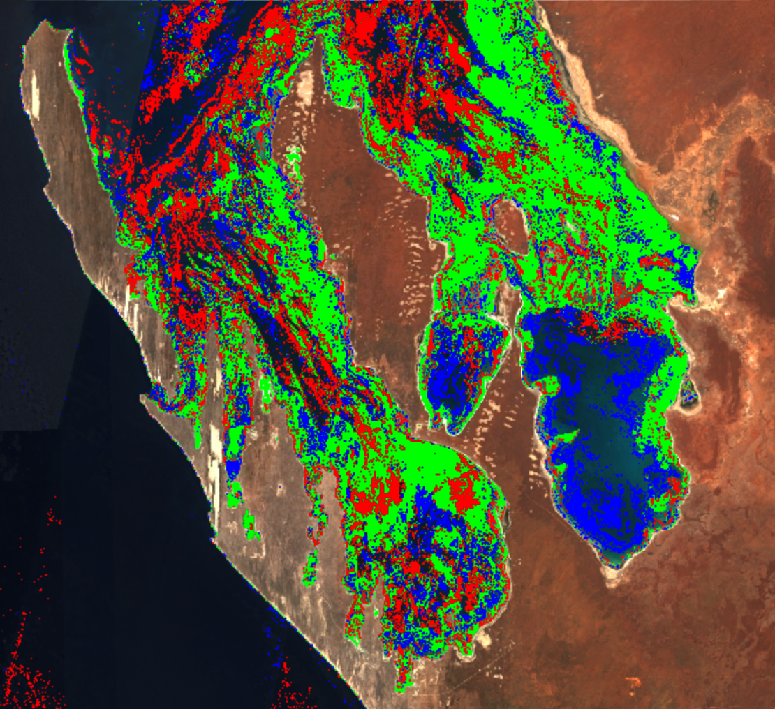 Seagrass Sentinel: Technical Methodology