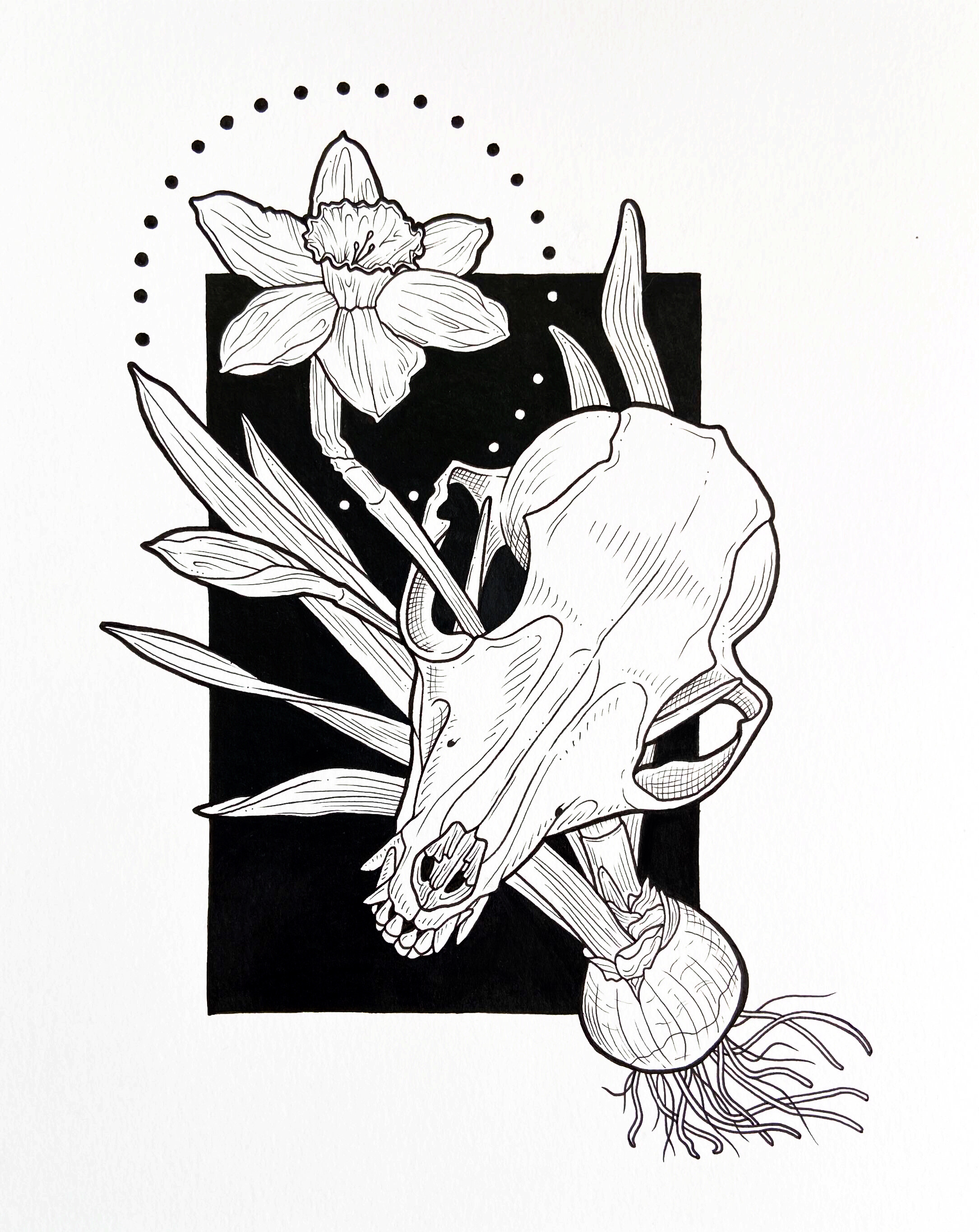 fox & daffodil - pen - 8" x 10"
