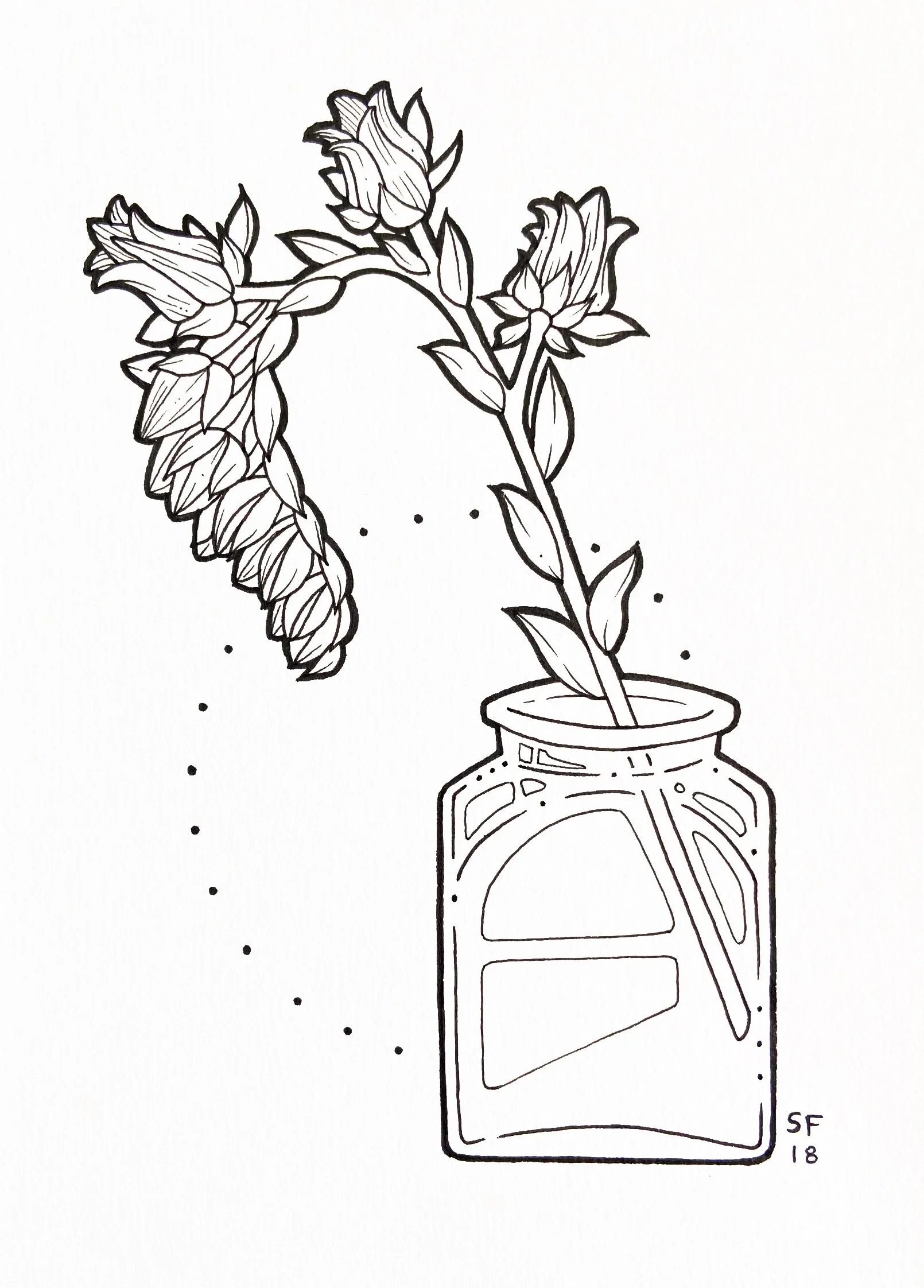 echeveria flower - pen - 5" x 7"