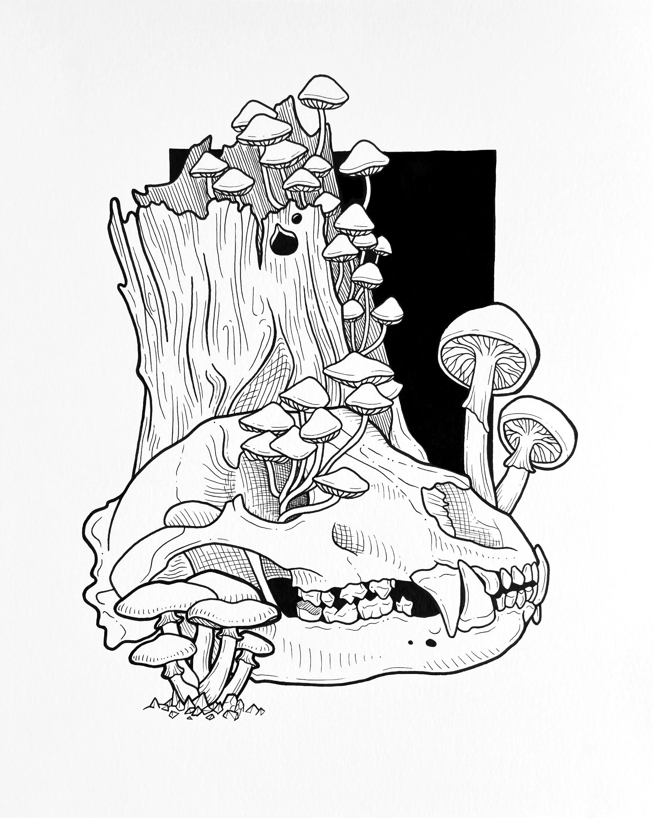 bear & mushrooms - pen - 8" x 10"