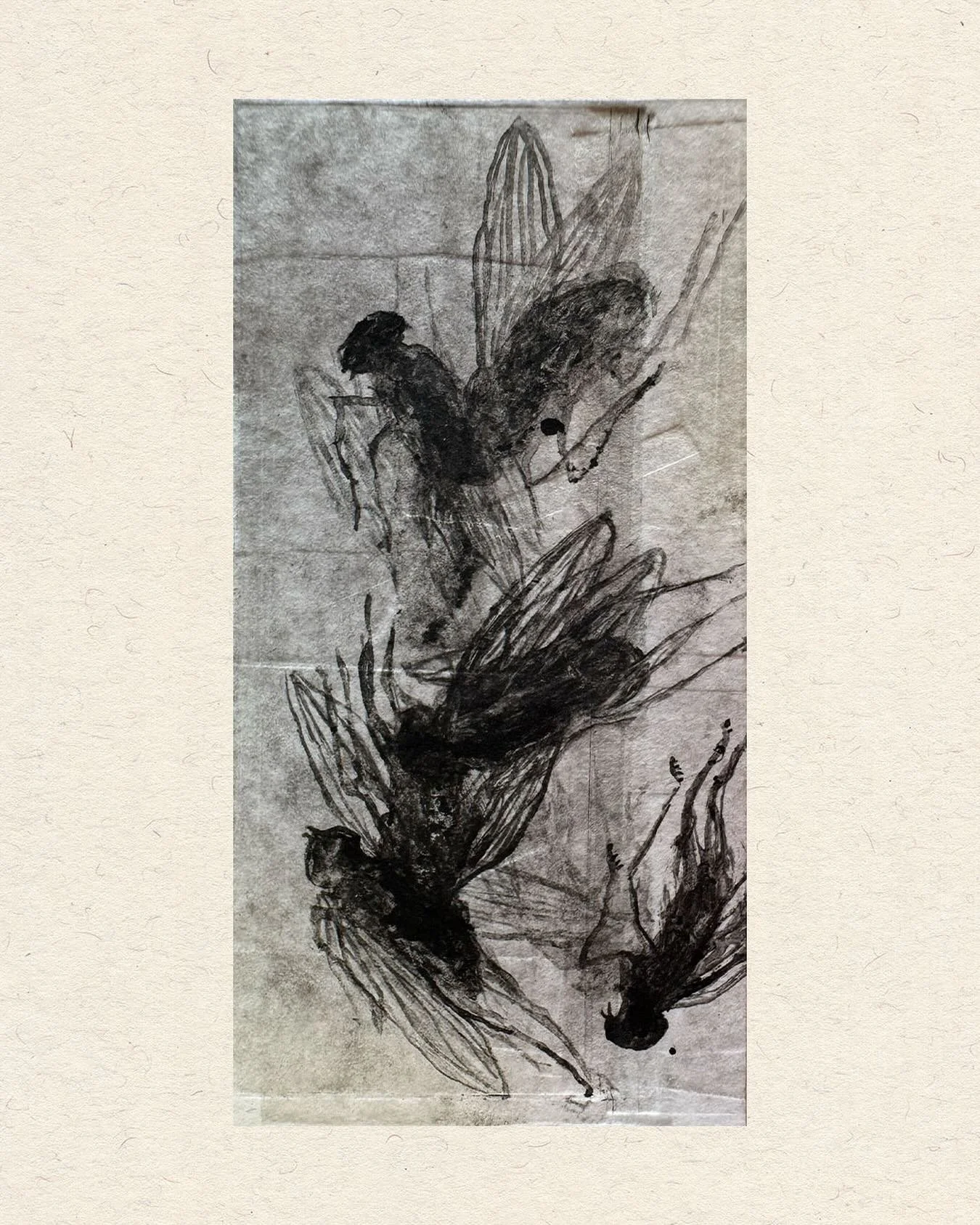 Mouches // essai 02
Encre