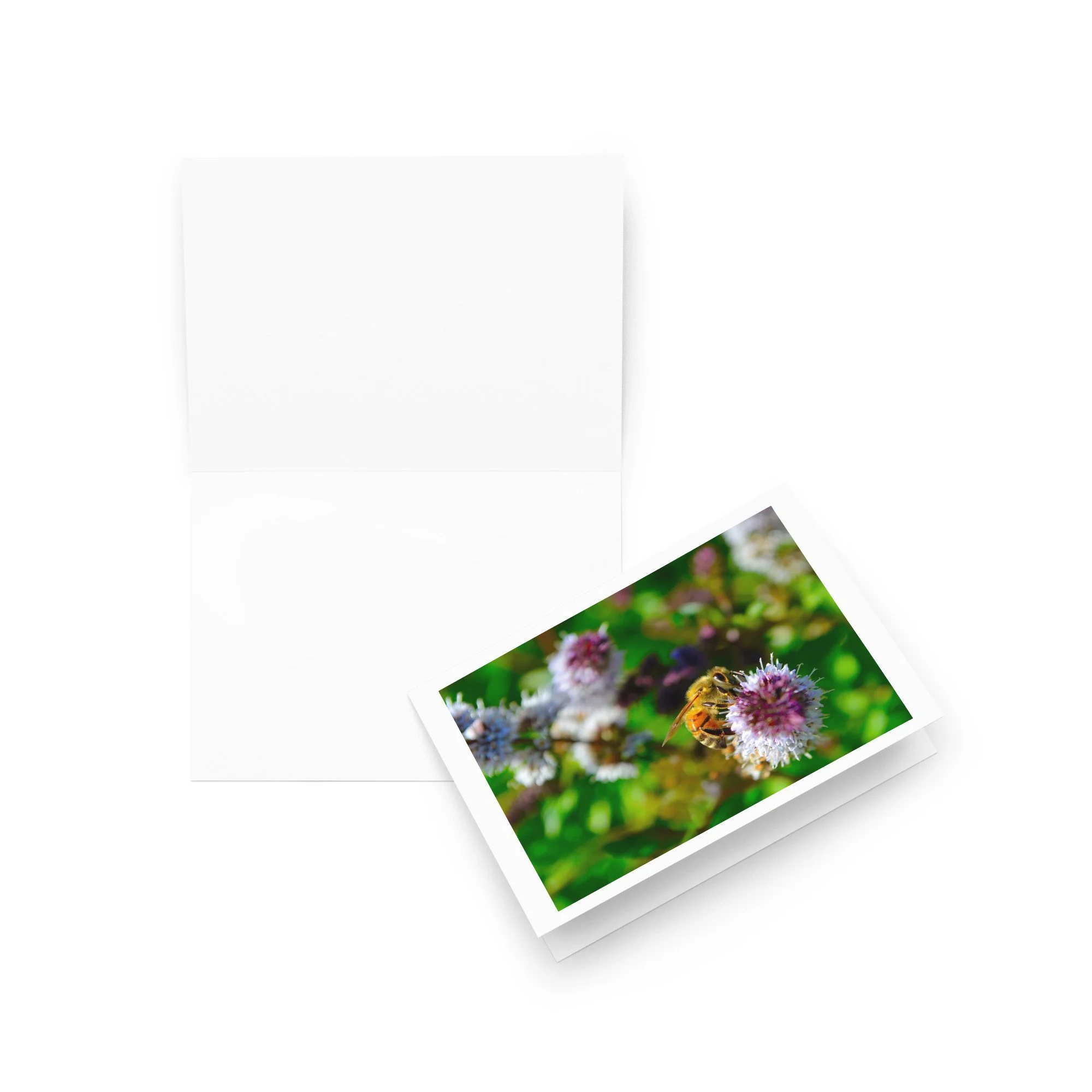 greeting-card-5x7-front-69921e36791f2.jpg