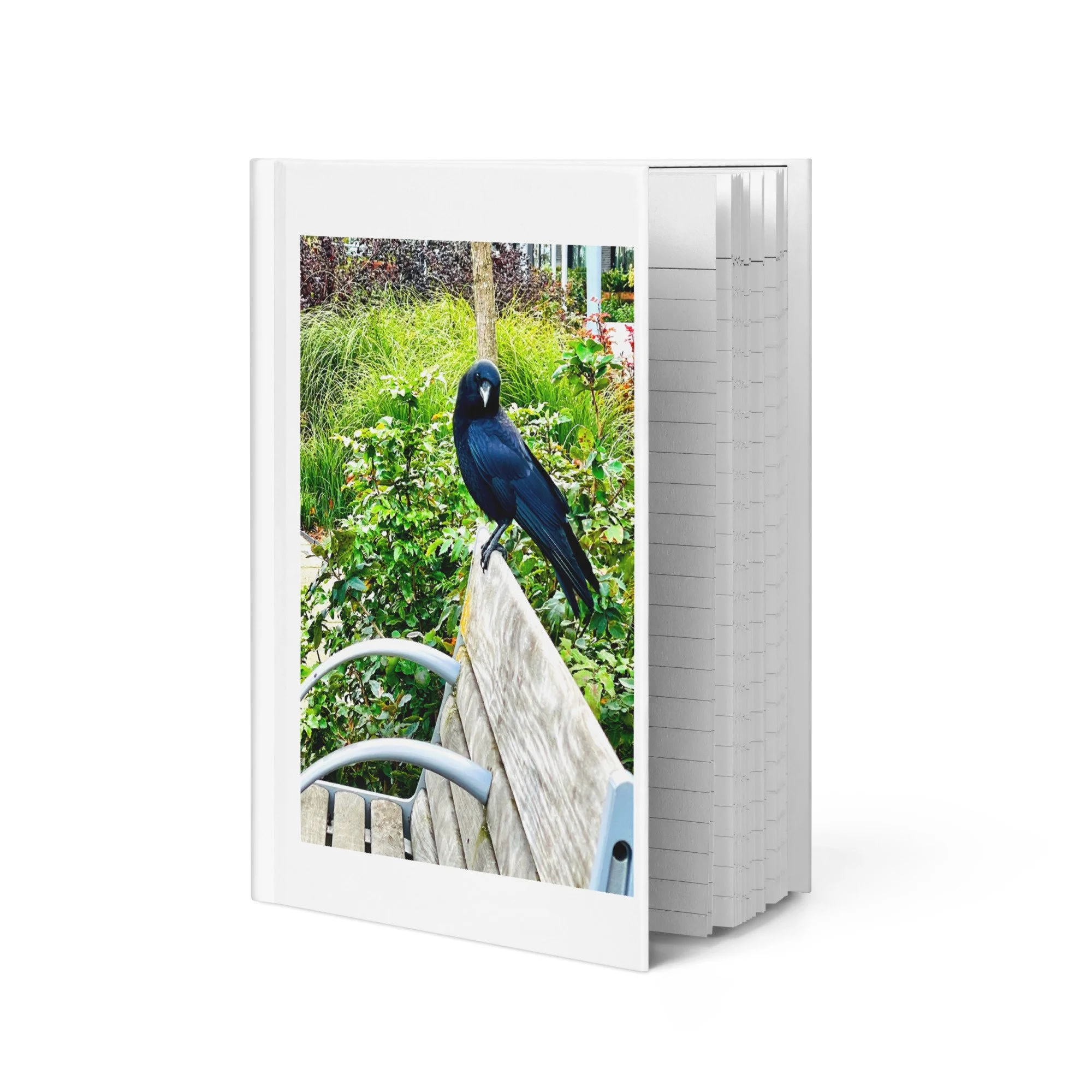 hardcover-journal-matte-white-8x5.75-front-6a34211dc3195.jpg