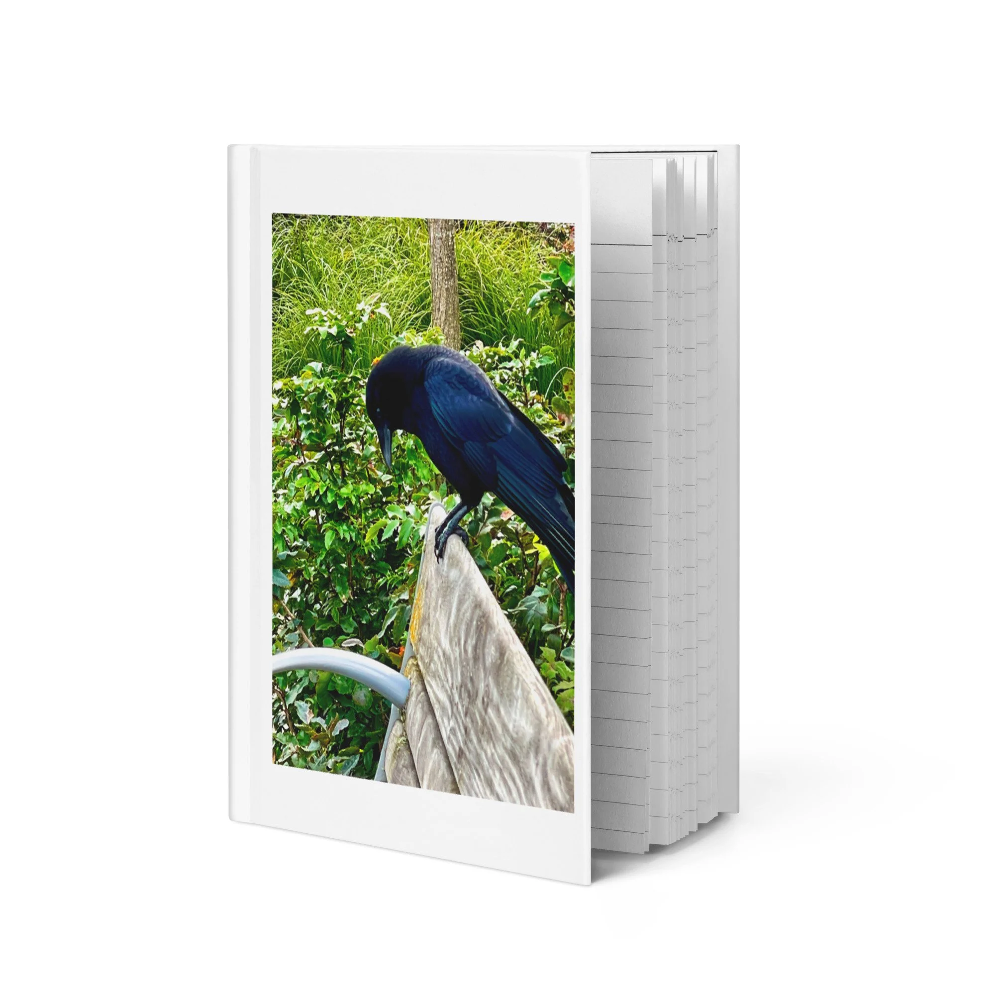 hardcover-journal-matte-white-8x5.75-front-6a342450df1a8.jpg