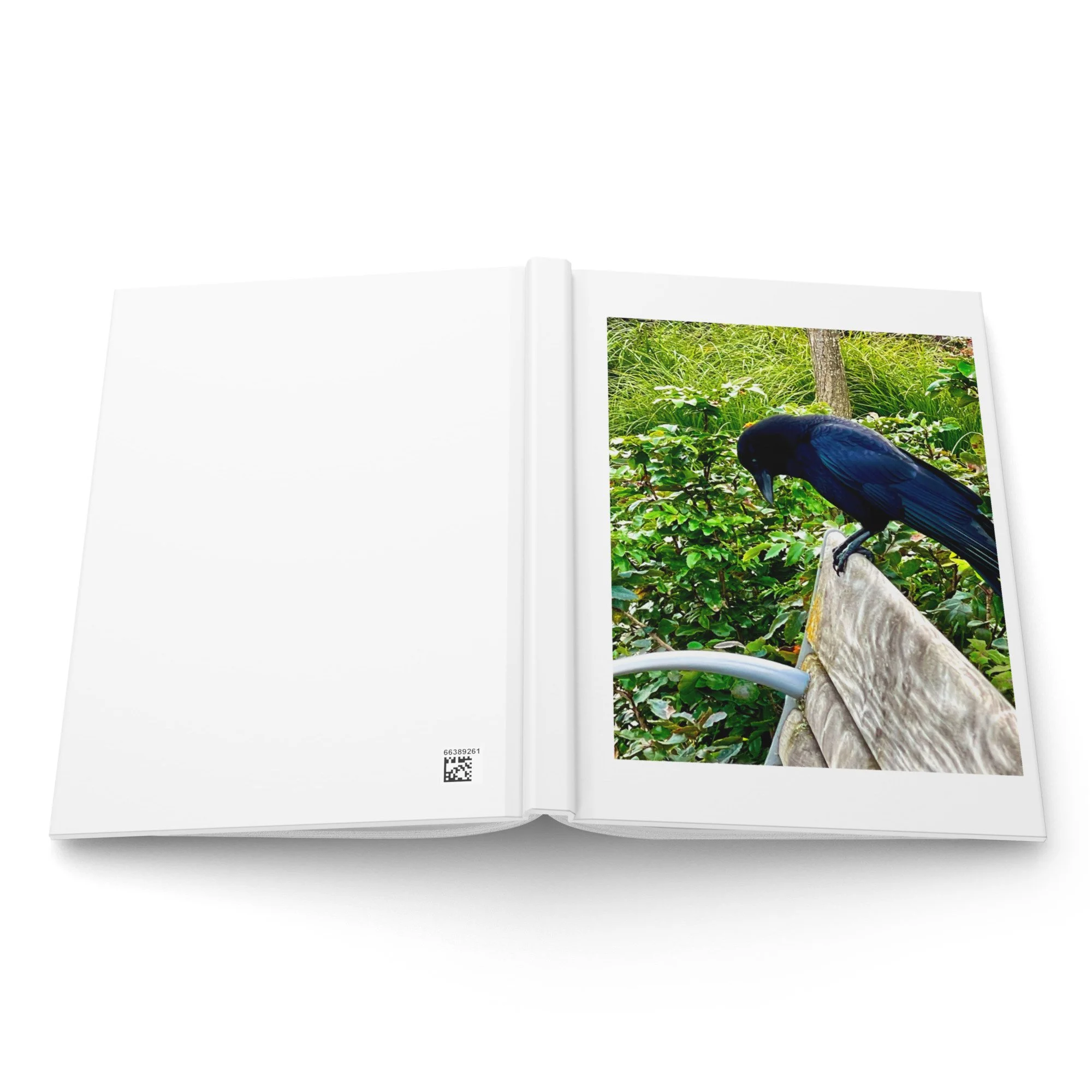 hardcover-journal-matte-white-8x5.75-front-6a342482b8709.jpg