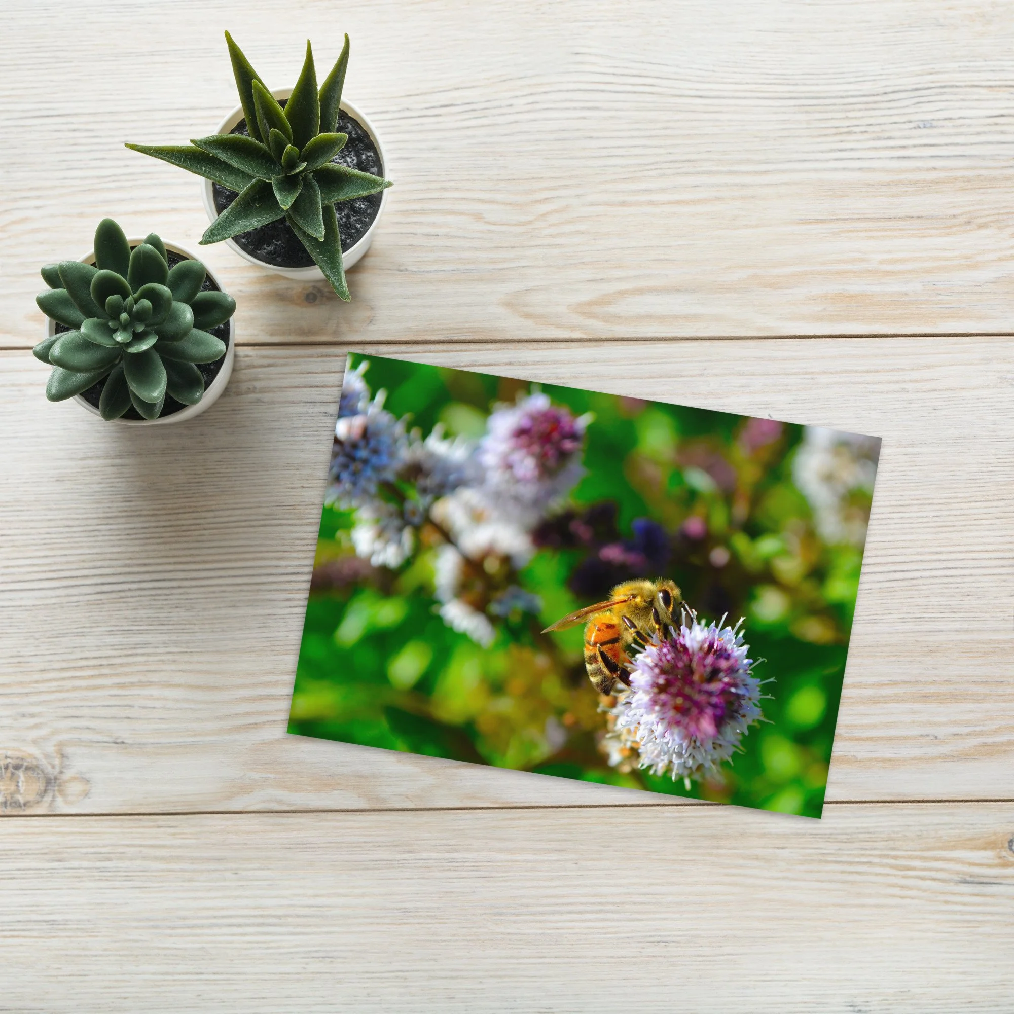 Greeting card