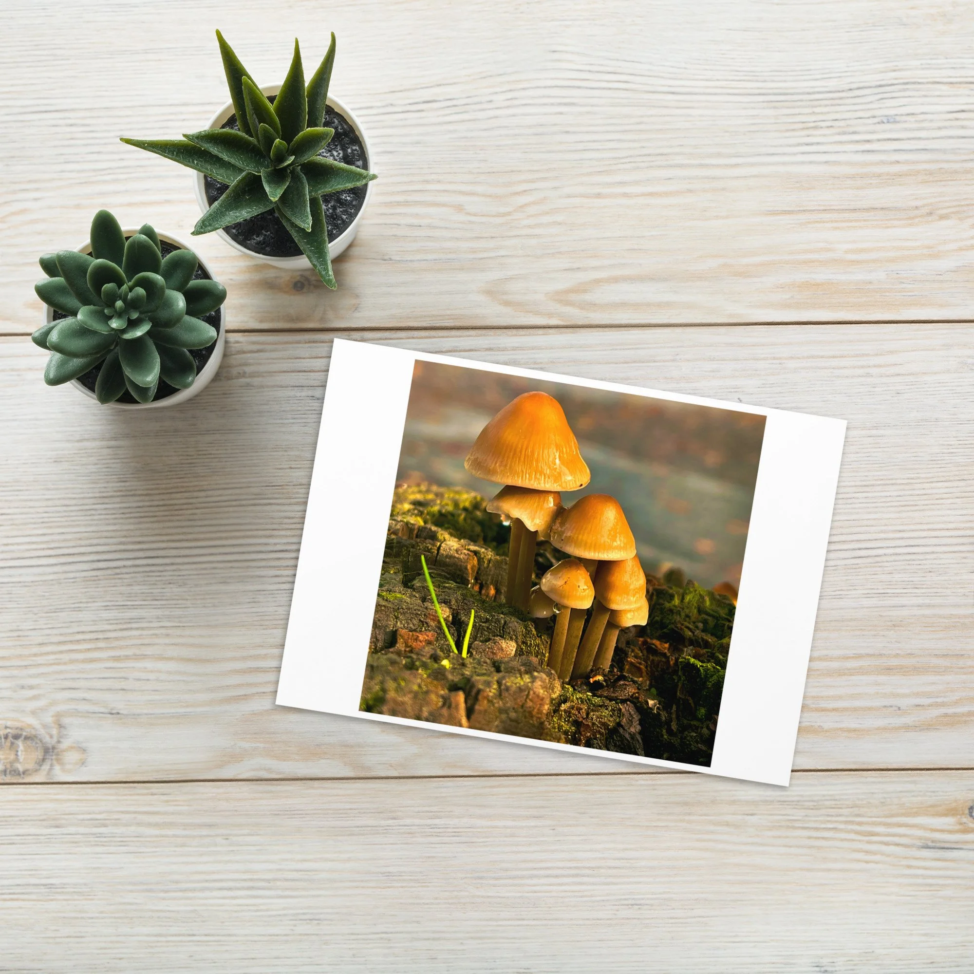 greeting-card-5x7-front-6a40604b045ea.jpg