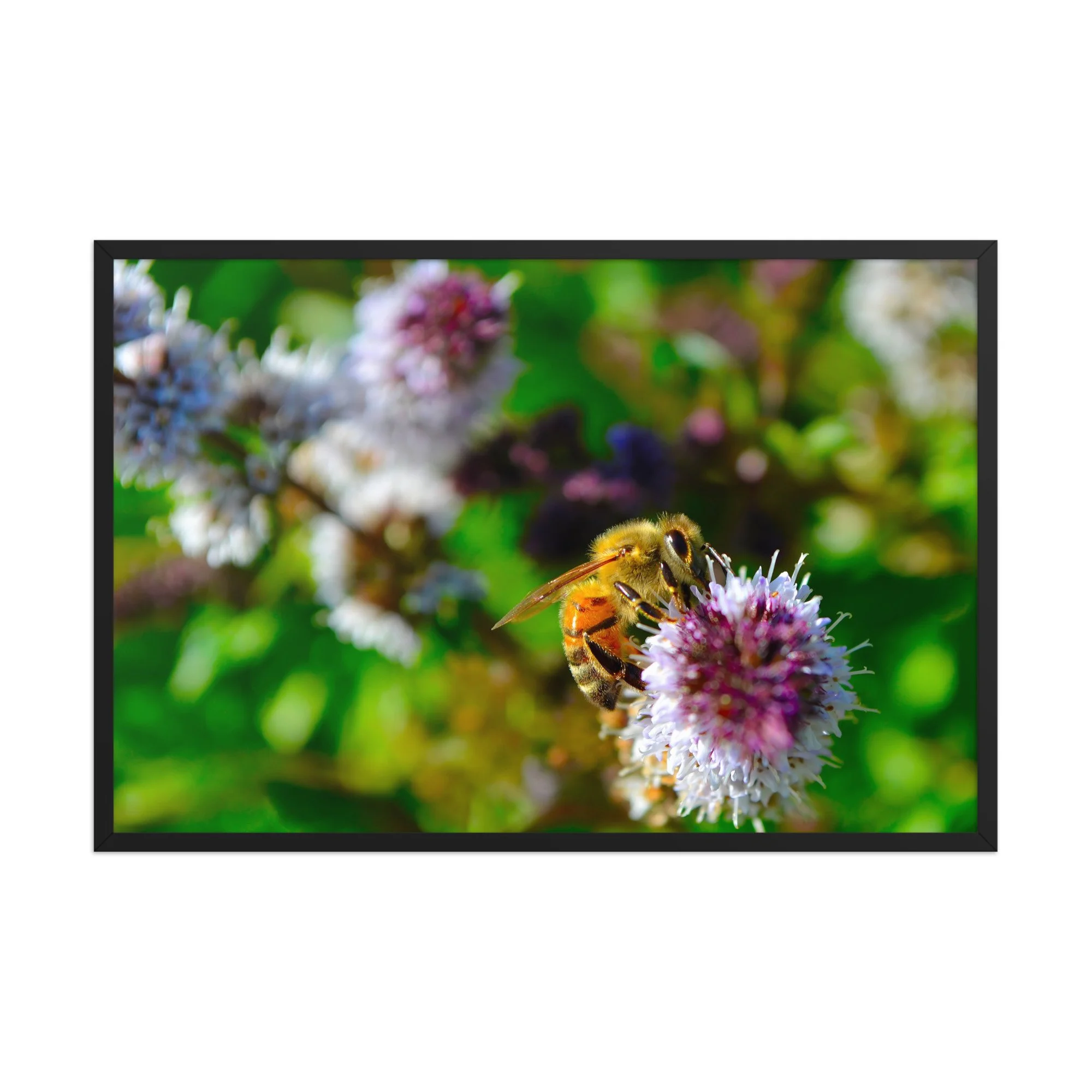 premium-luster-photo-paper-framed-poster-(in)-black-24x36-front-6a42d86d2d51e.jpg