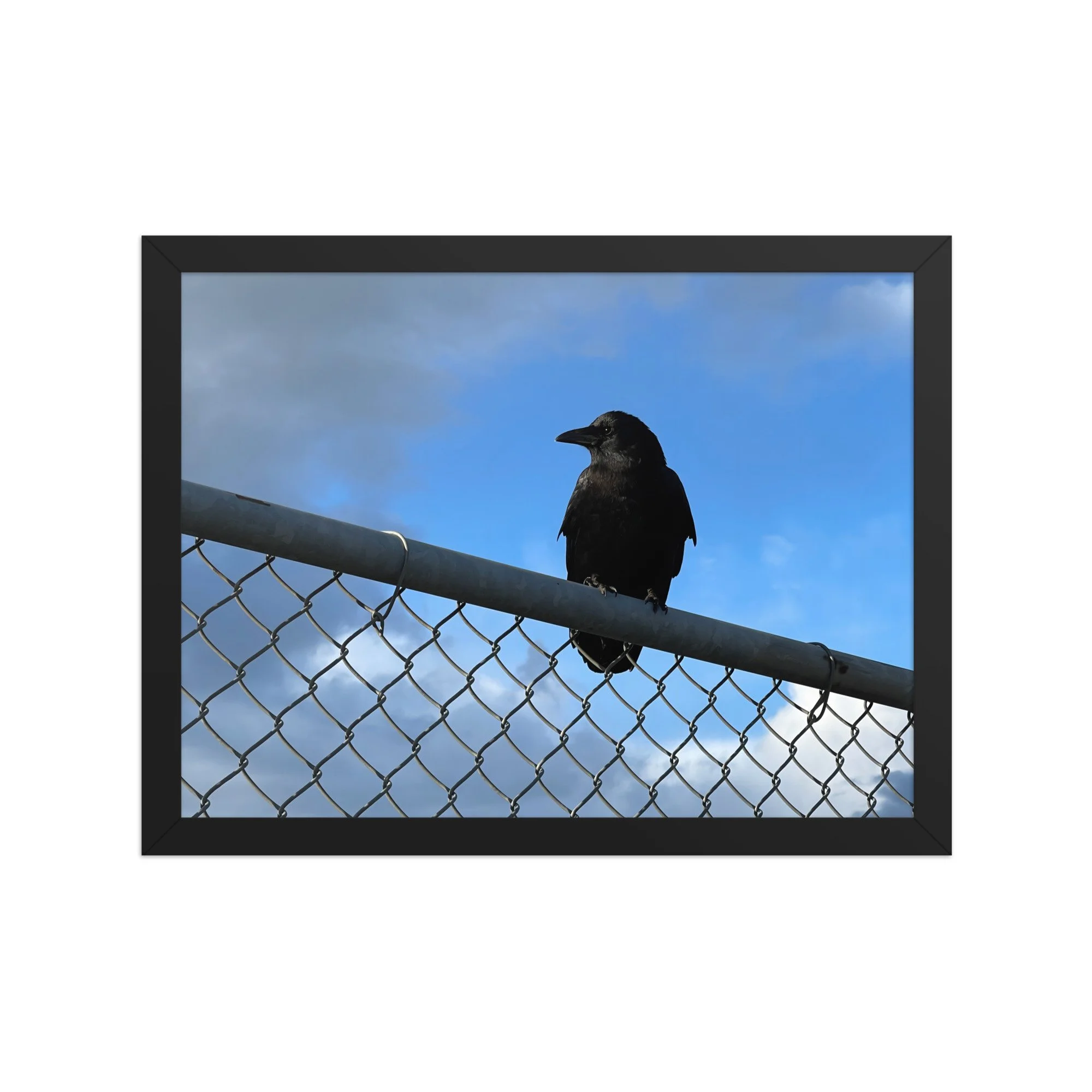 premium-luster-photo-paper-framed-poster-(in)-black-12x16-front-6a42db60099f8.jpg
