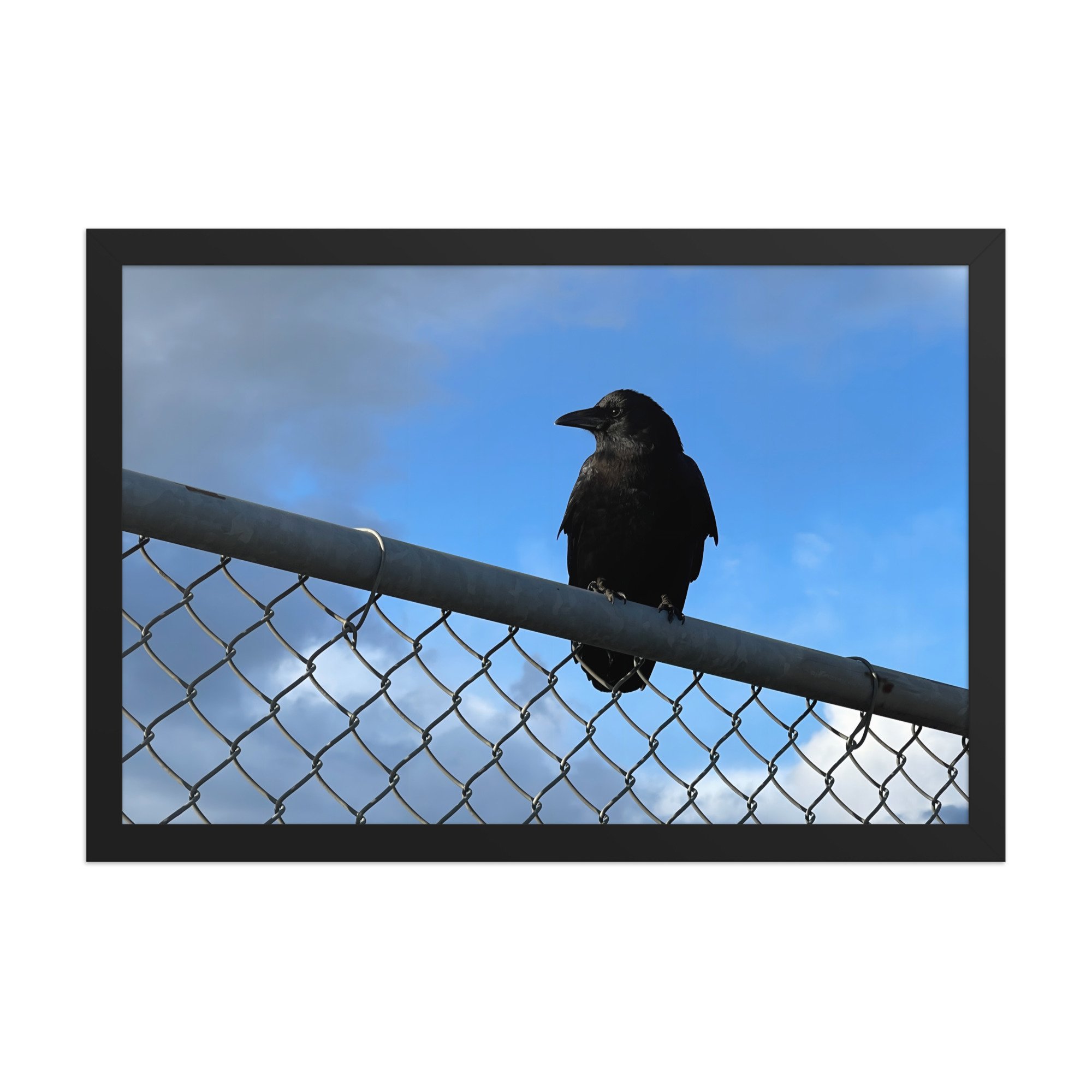 premium-luster-photo-paper-framed-poster-(in)-black-12x18-front-6a42db6009a4c.jpg