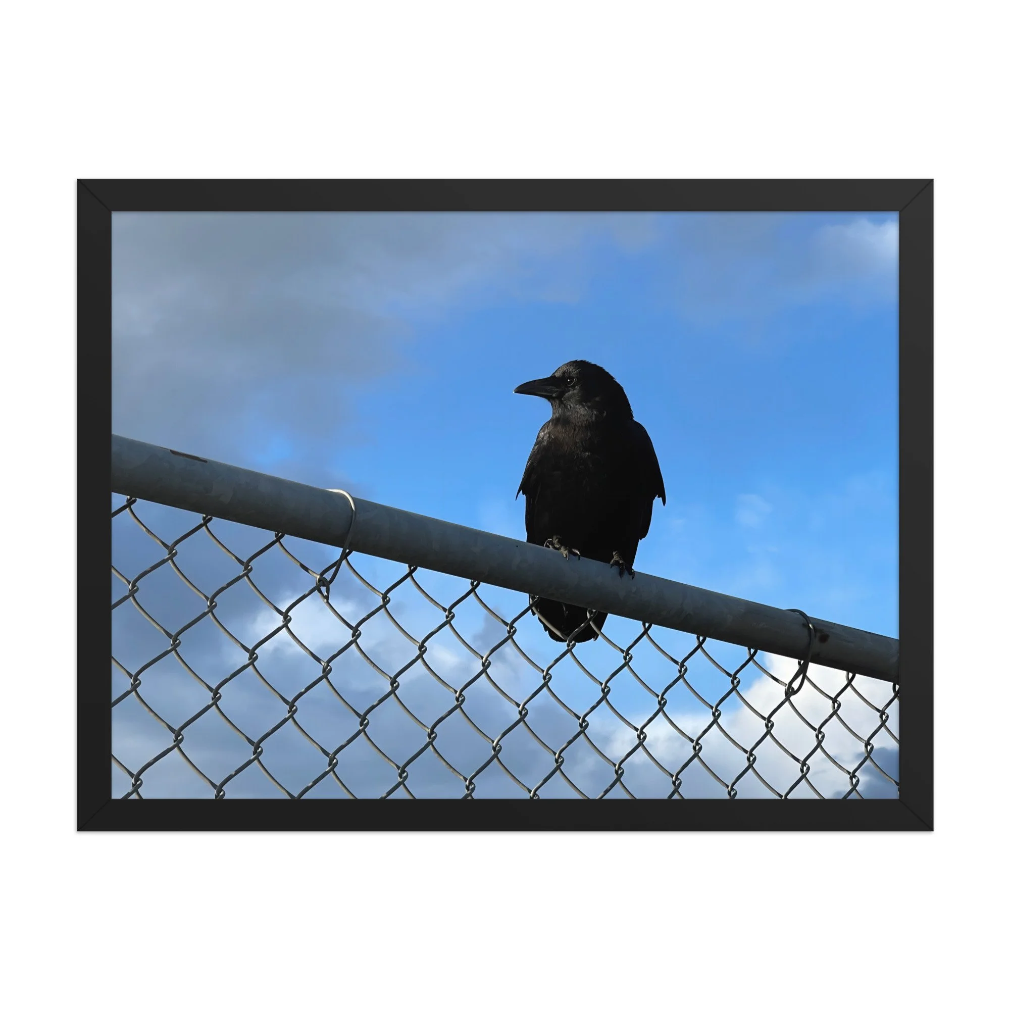 premium-luster-photo-paper-framed-poster-(in)-black-18x24-front-6a42db6009ae9.jpg