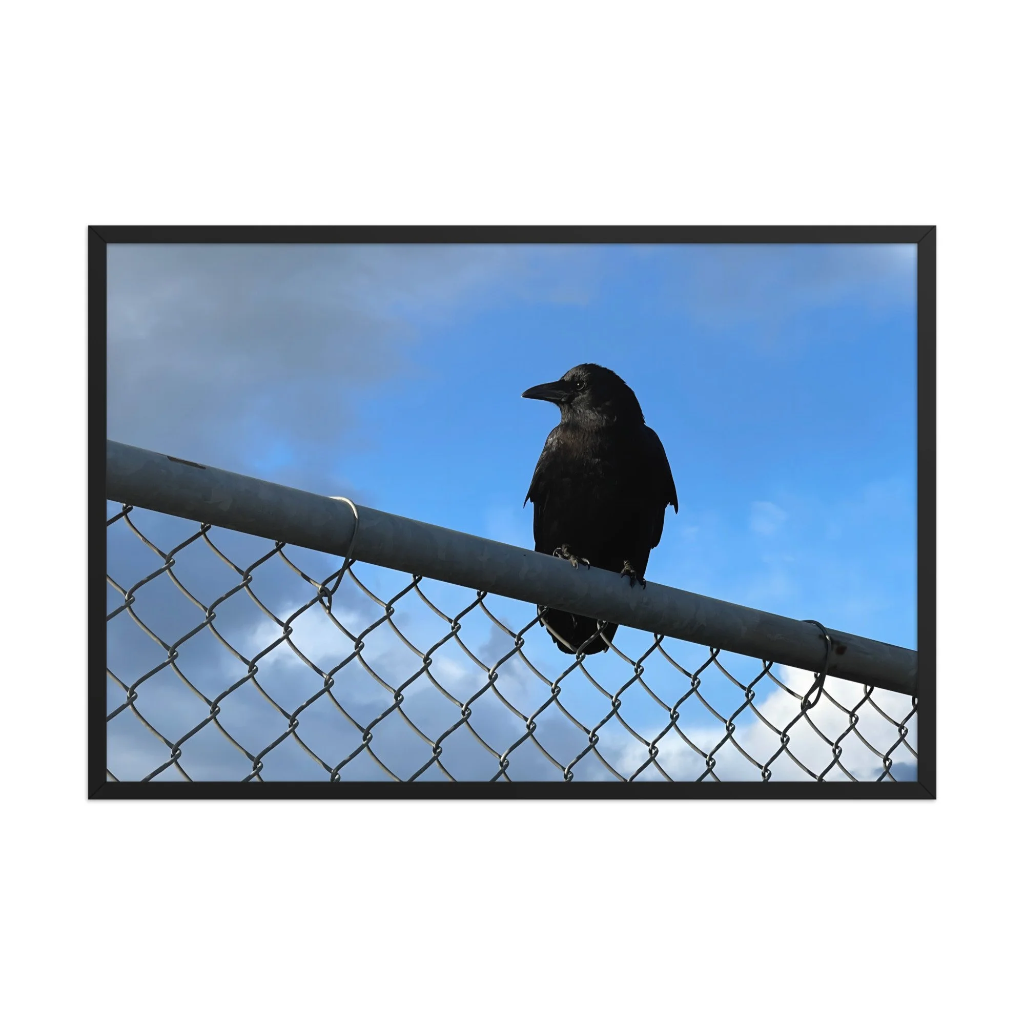 premium-luster-photo-paper-framed-poster-(in)-black-24x36-front-6a42db6009b35.jpg