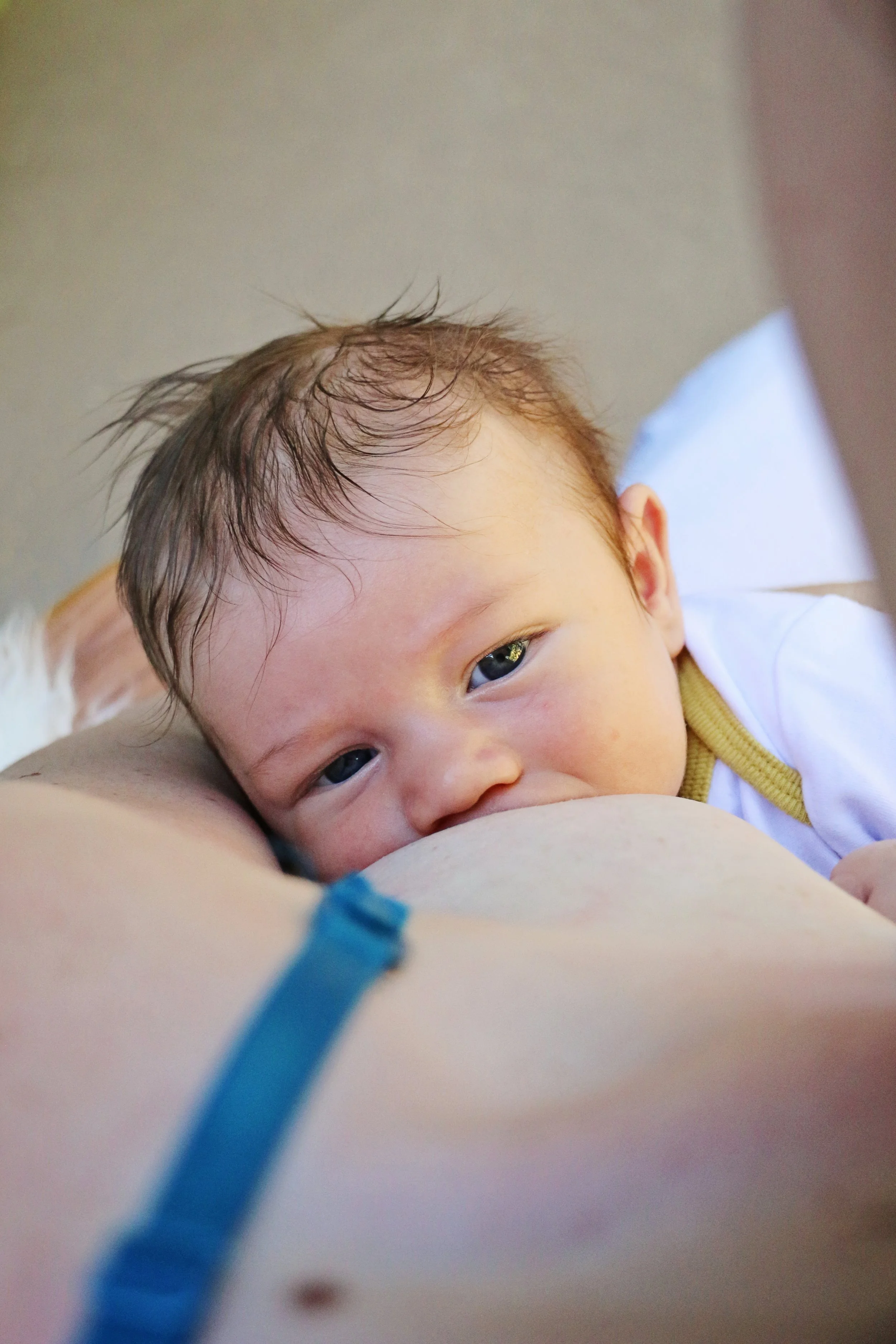 World Breastfeeding Month Photo Shoot