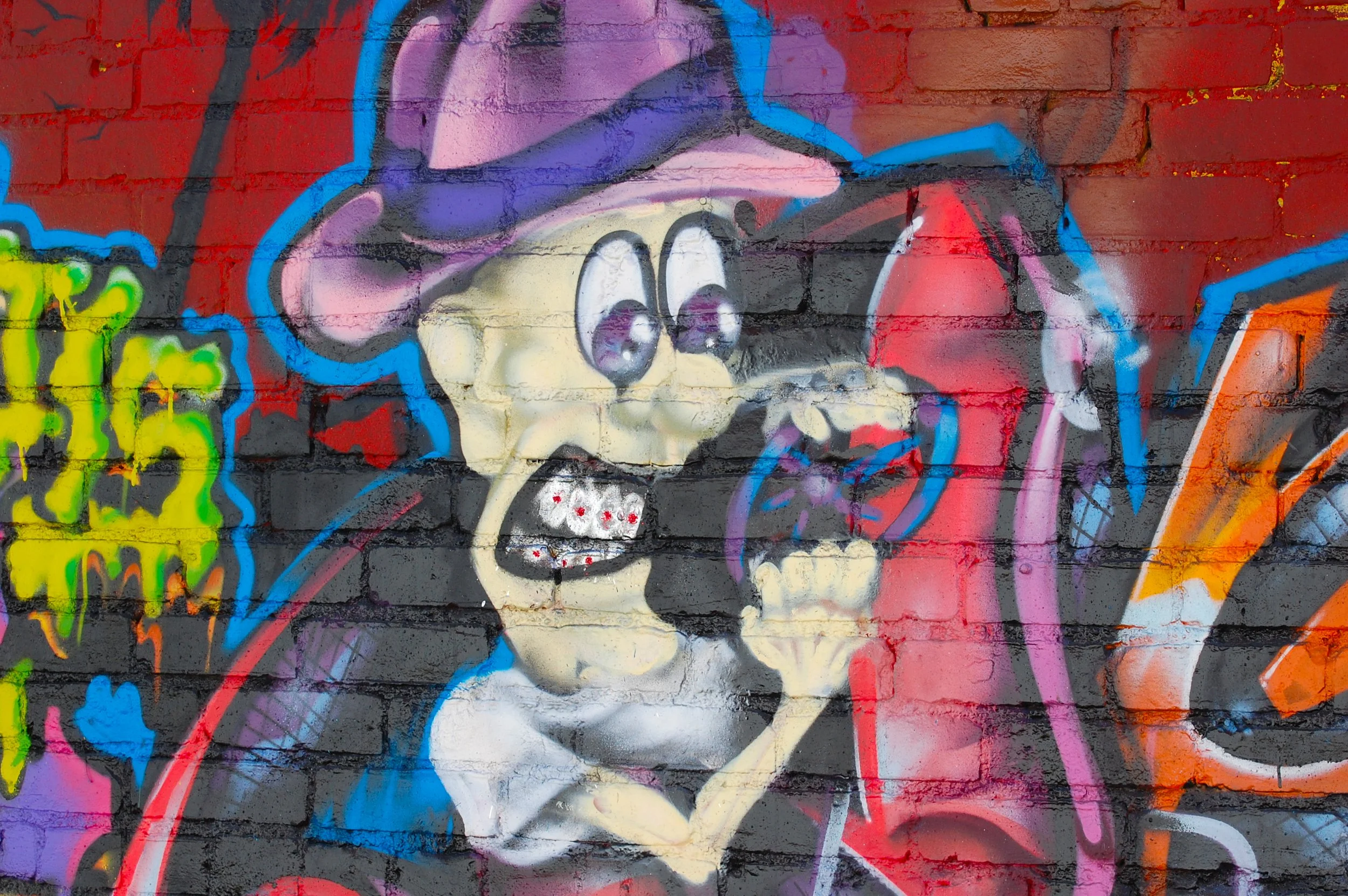 Braces & Places.jpg