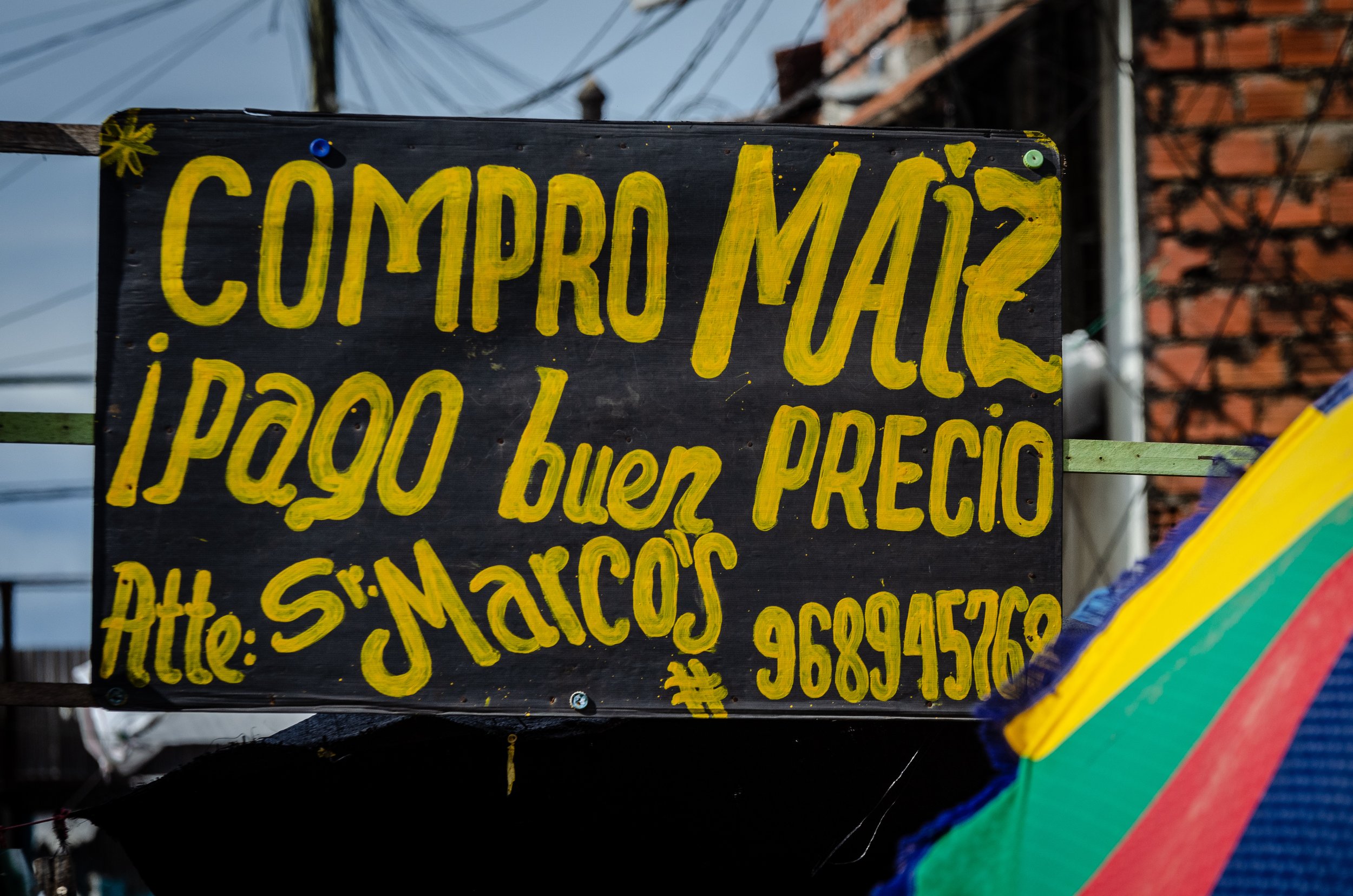 _DSC0084.jpg