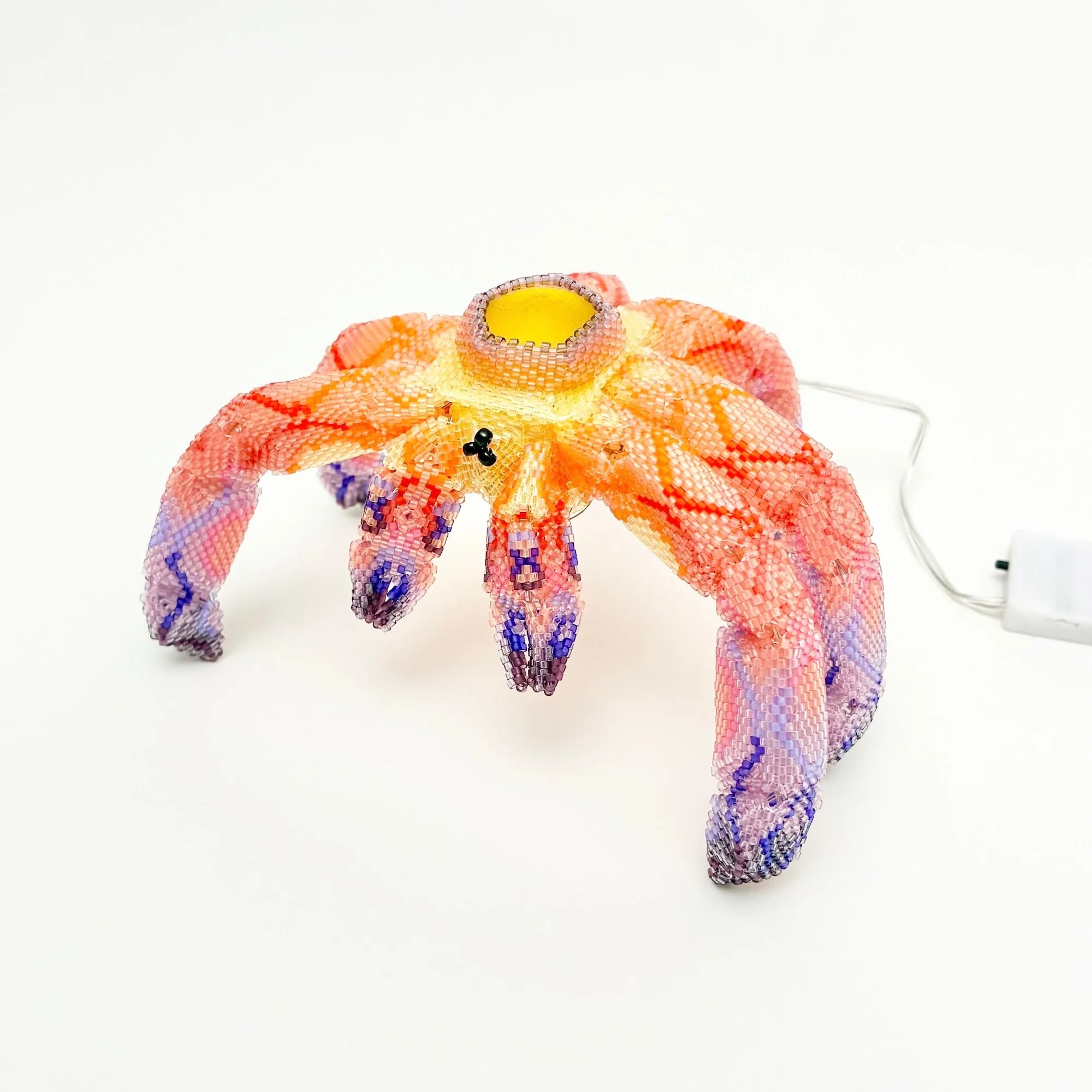 Electric Crab Again 6.jpeg
