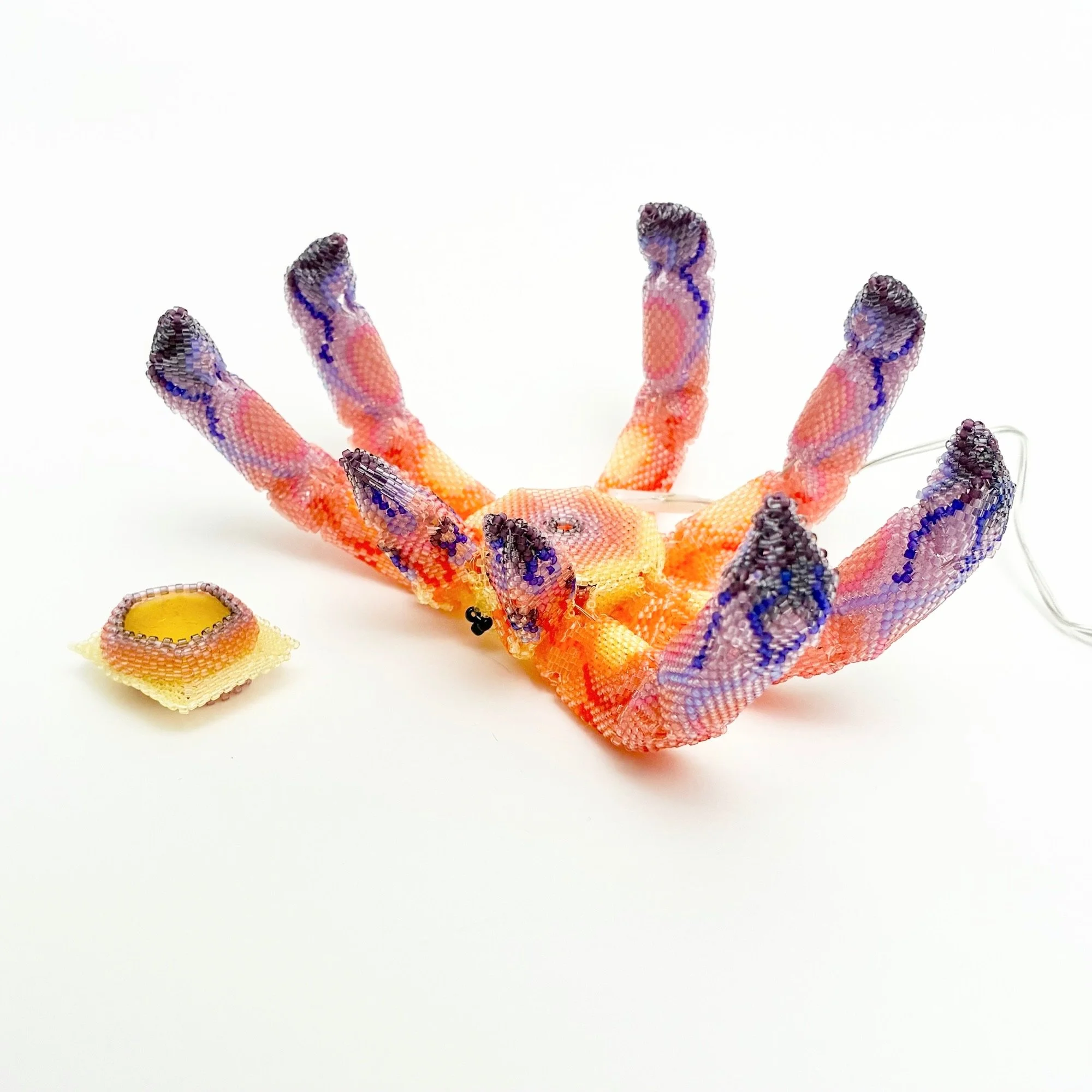 Electric Crab Again 1.jpeg