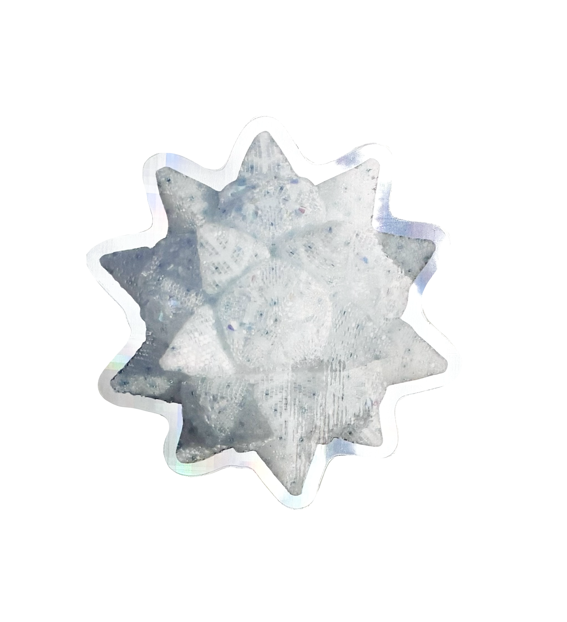 IMG_6439.png
