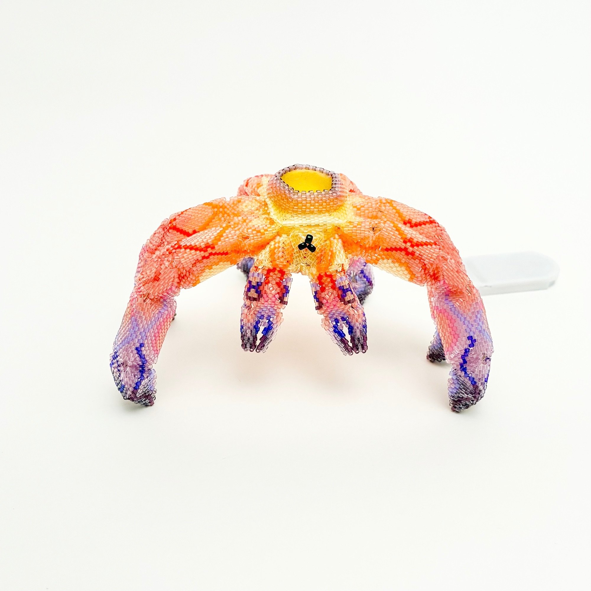 Electric Crab Again 7.jpeg