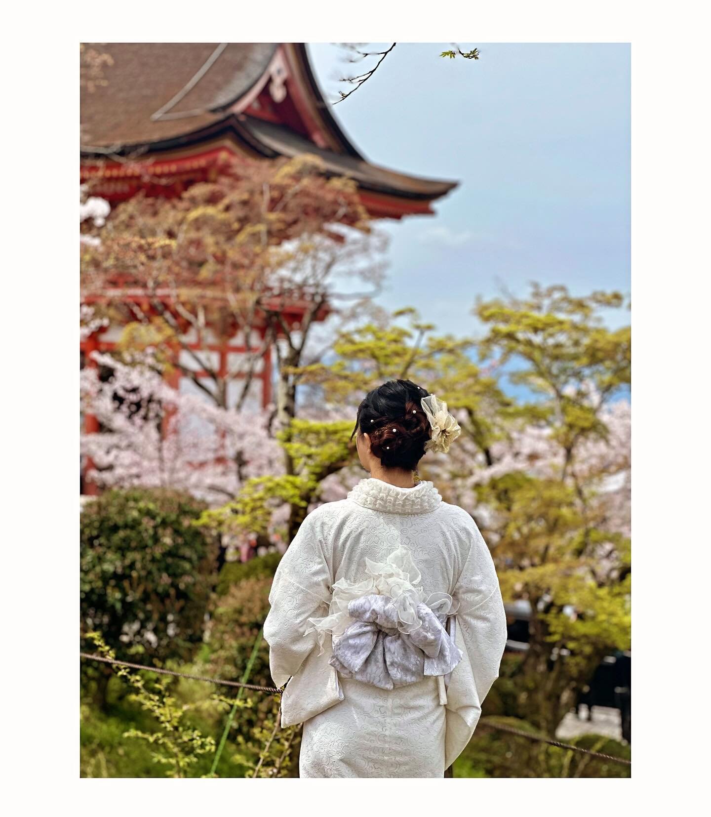 Just returned from a fab trip to Japan with family during cherry blossom season. Women rent kimonos and stroll while getting their photos taken...a delight to see!