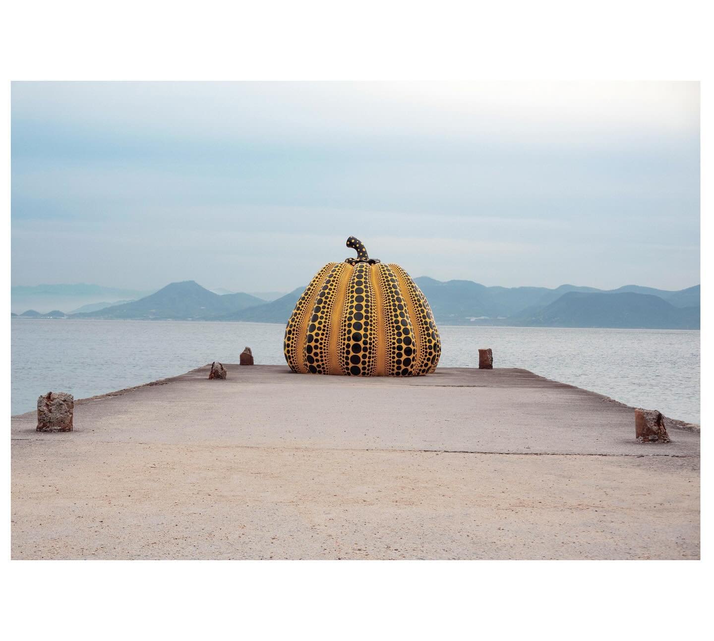 Naoshima Island (aka Art Island) in Japan was an eye opening destination for an art lover. Installation by @yayoikusama_ #naoshima #artisland #artinstallation #modernart