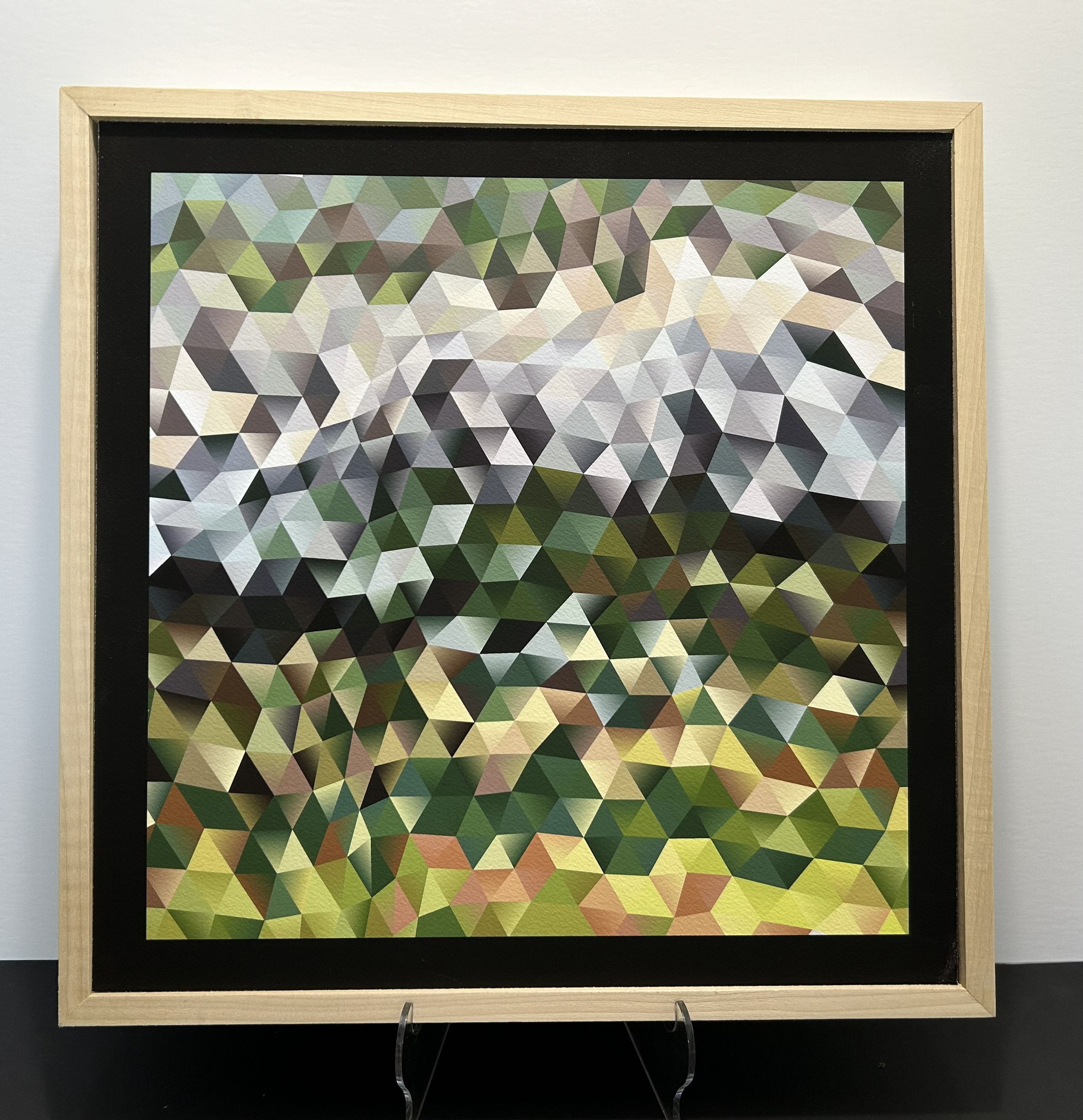 hex_nosiy_1_framed_print_g.png (Copy)