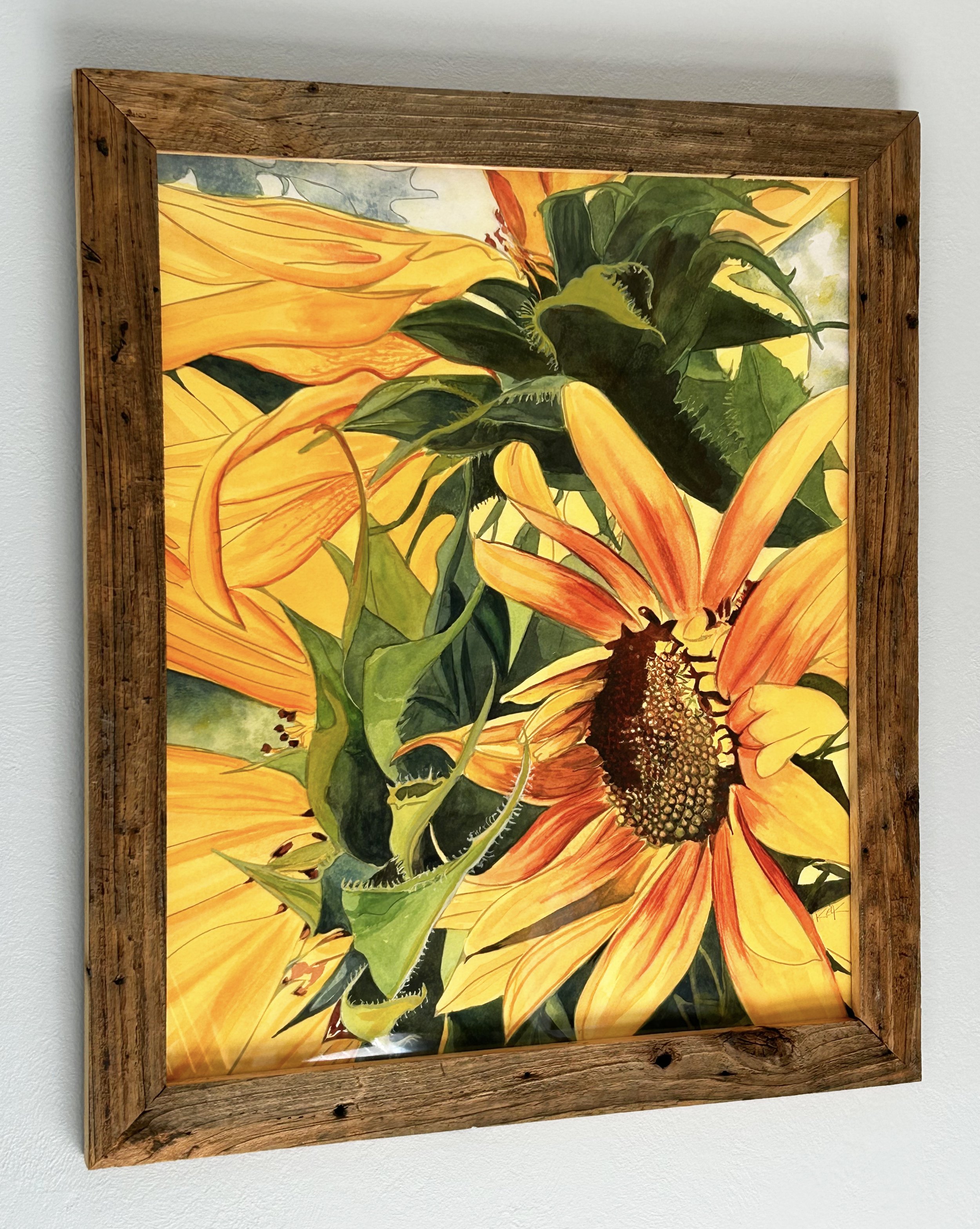 SunflowerFullView2.jpg