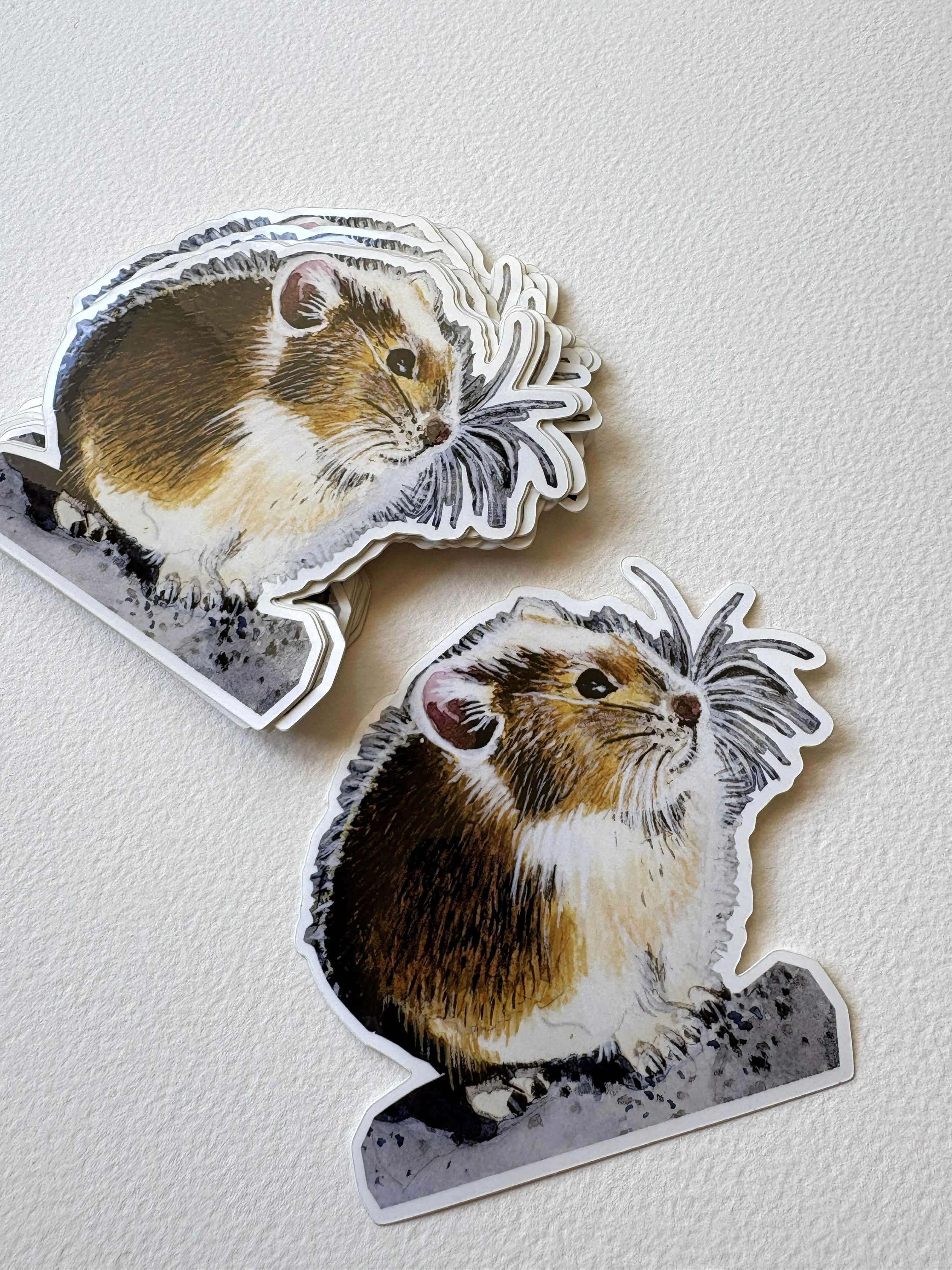 Pika Sticker | 4"x4"