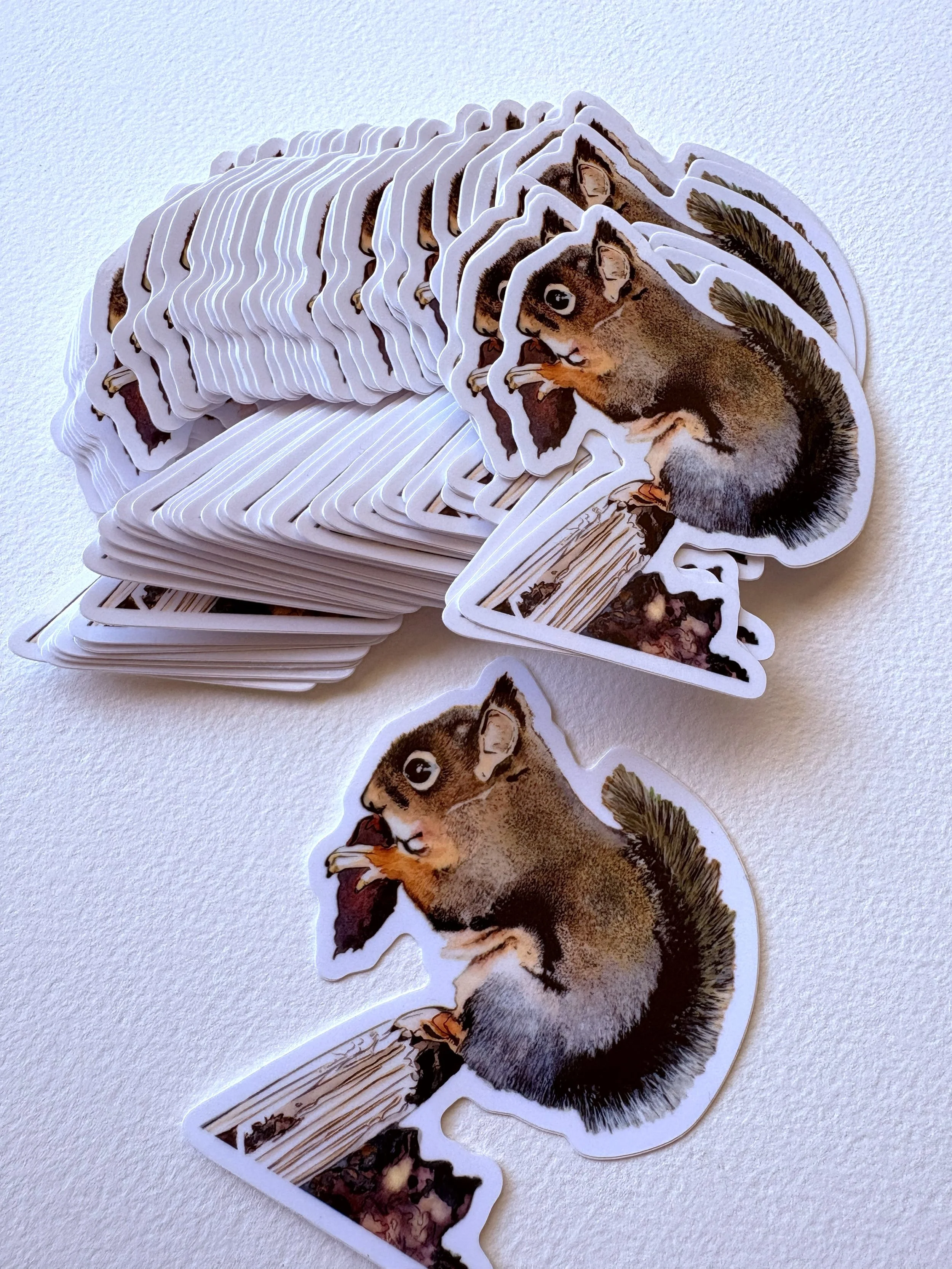 Native Squirrel | 4" x 3.25"