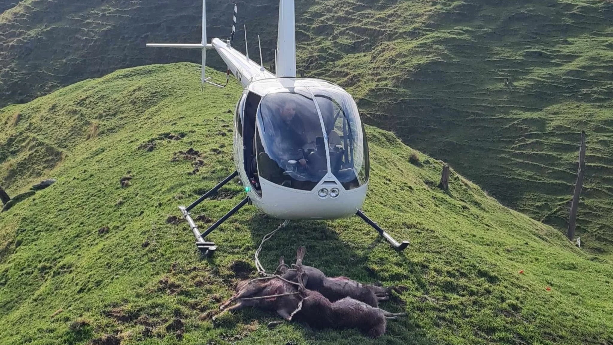 RTB Heli Ltd | Quality Agricultural Helicopter Services | Whanganui ...
