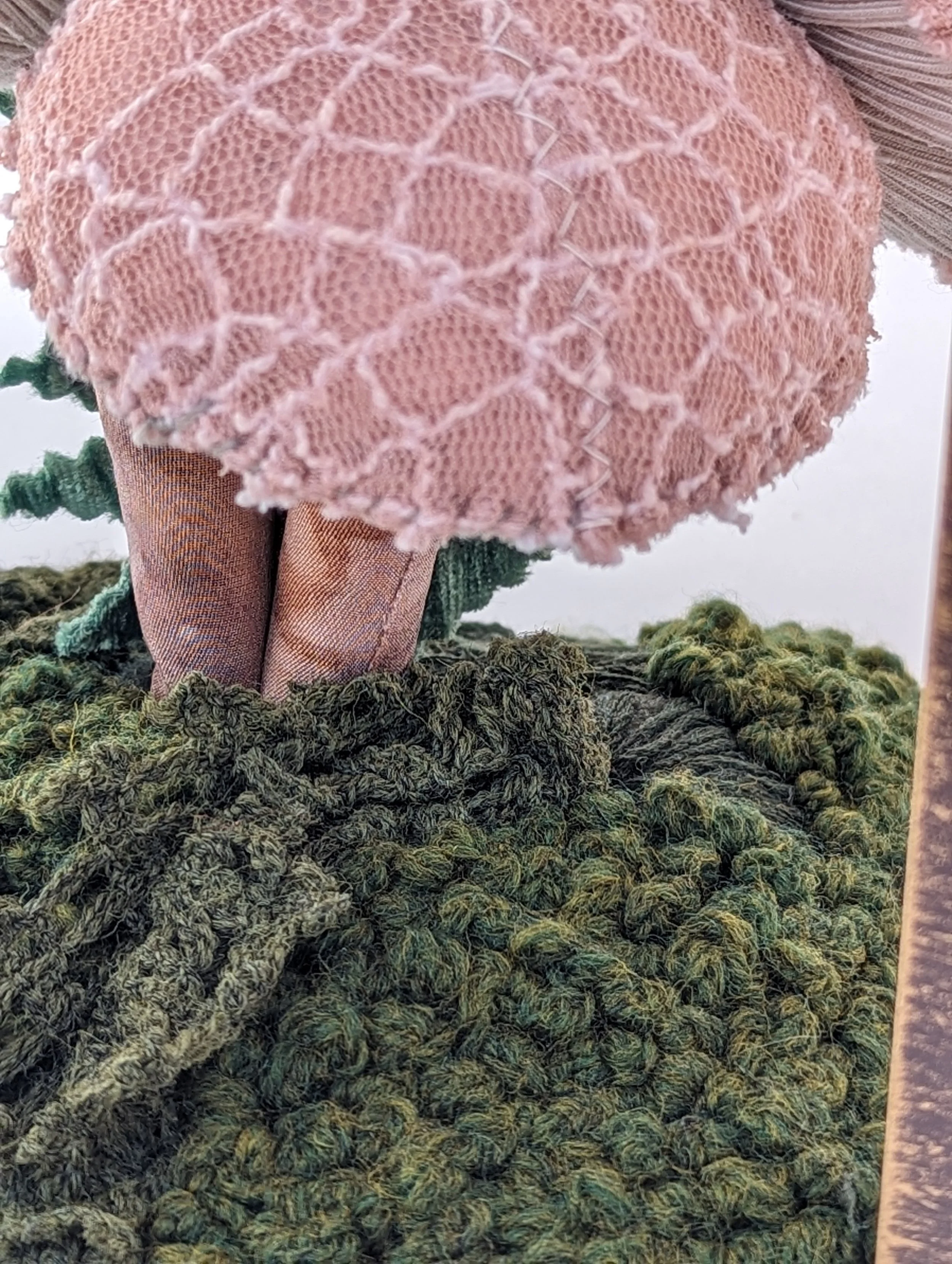 KTepe_PinkMushroomCloseup.jpg