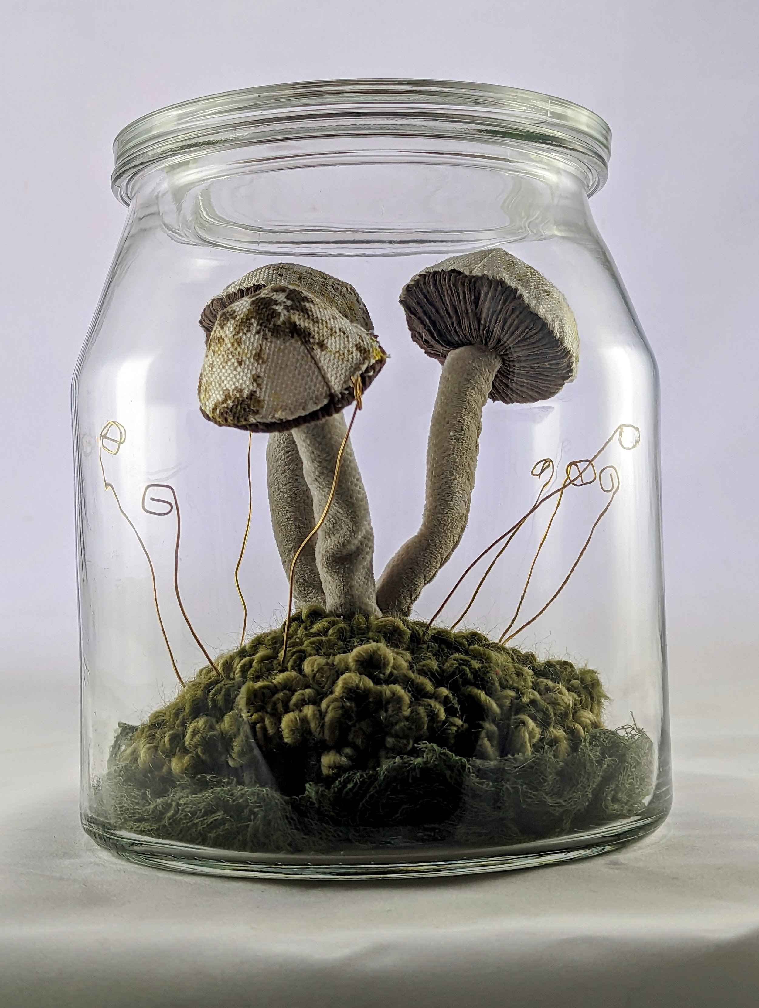 KTepeWhiteMushroomTerrarium (2).jpg