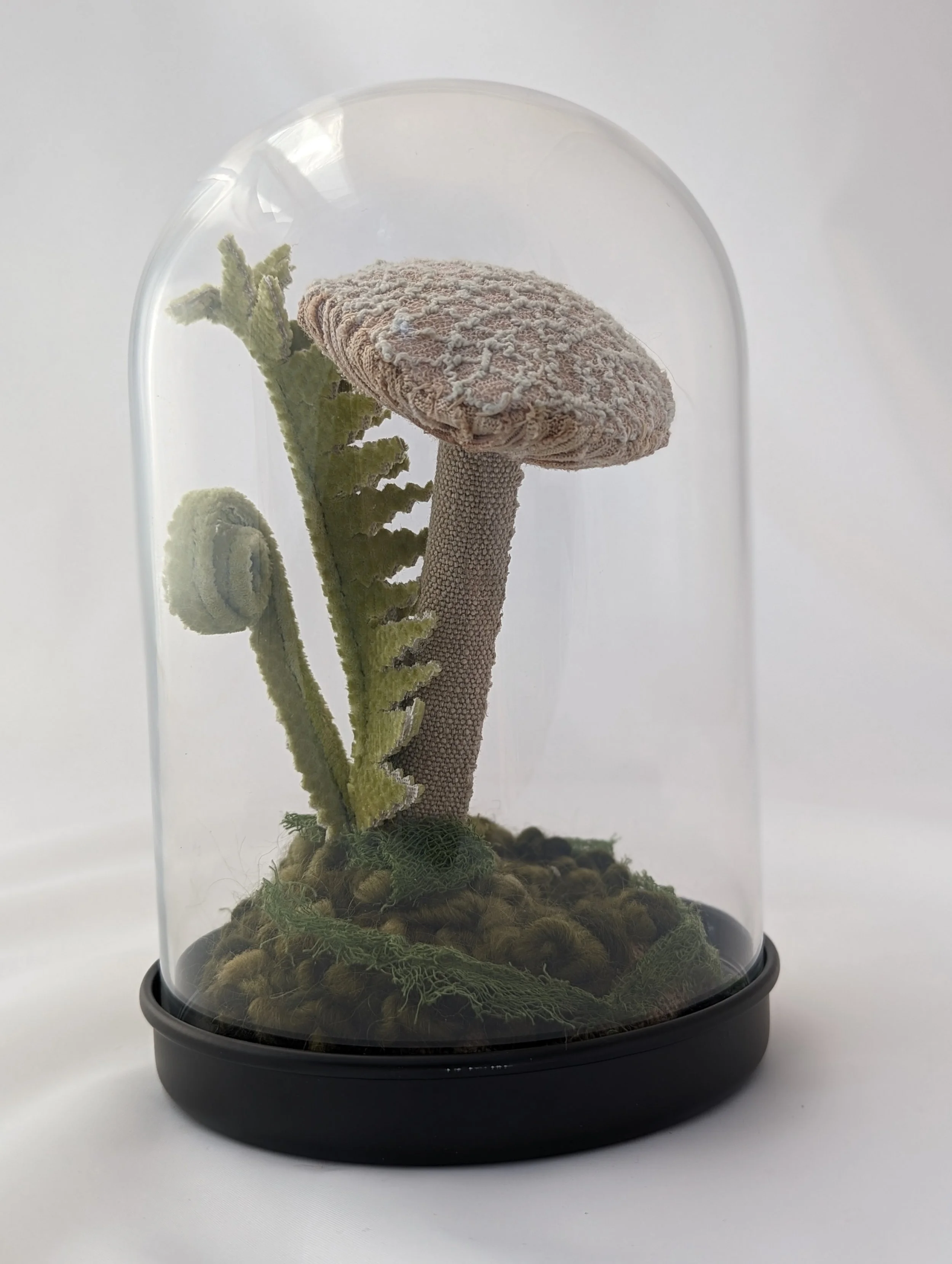 Classic White Mushroom Terrarium