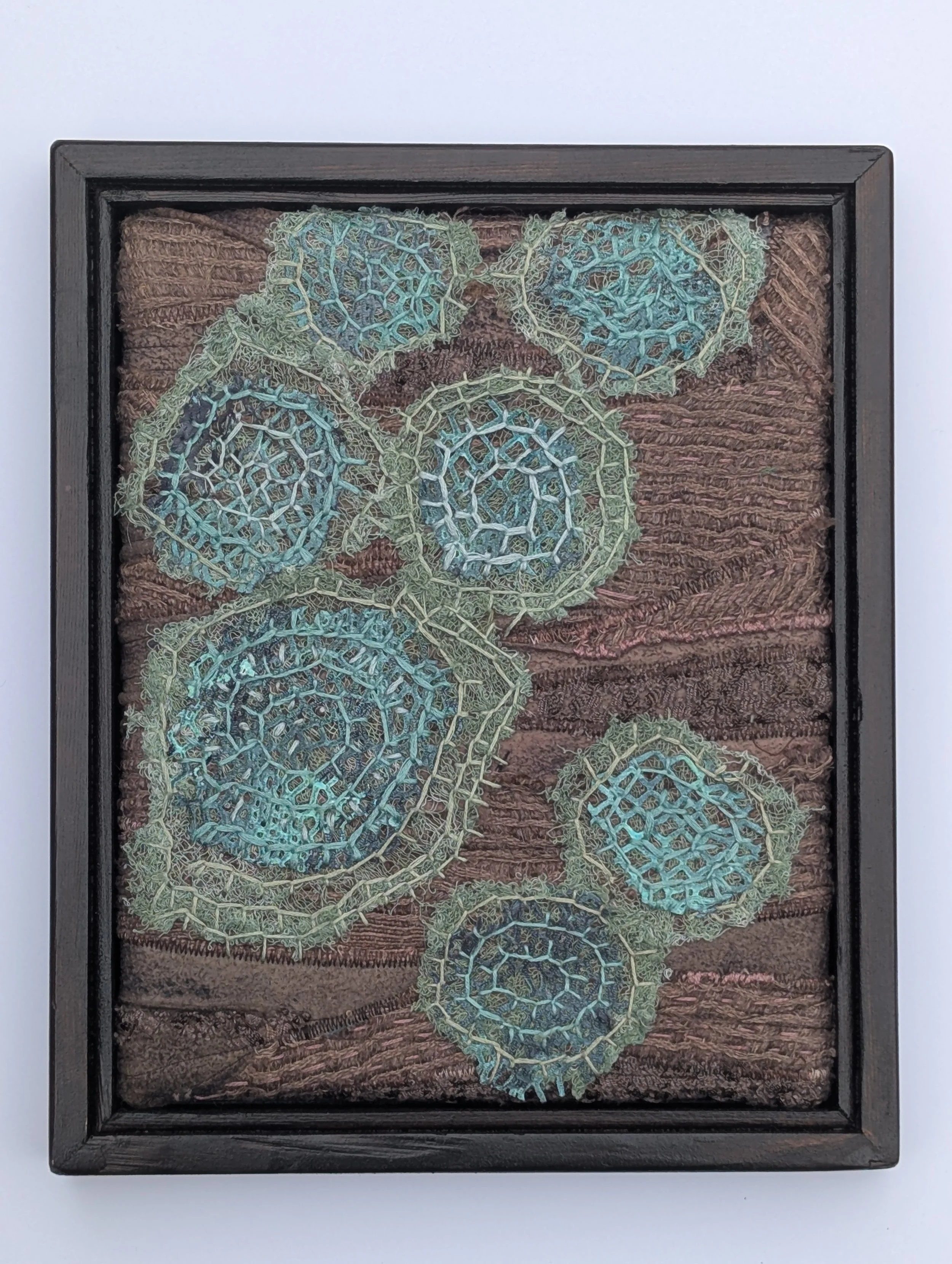 Hand stitched lichen on tree bark