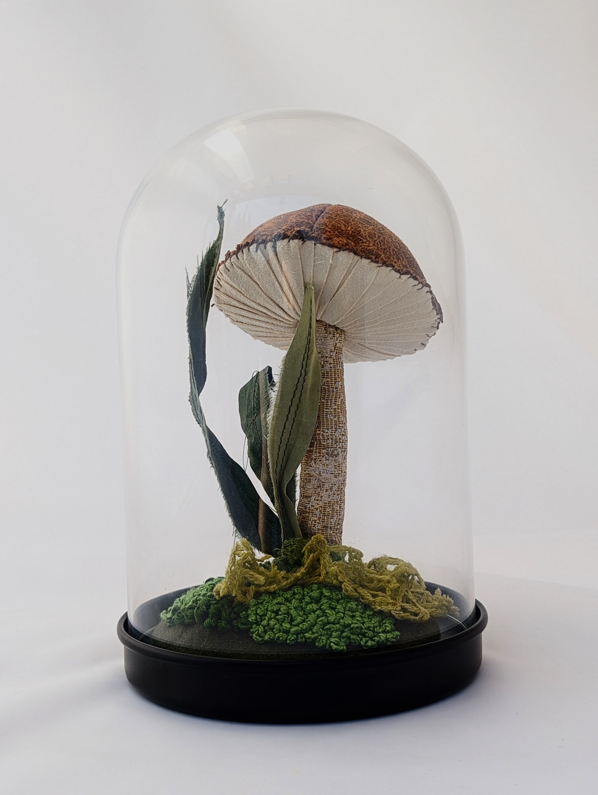 Bella Mushroom Terrarium 02.jpg